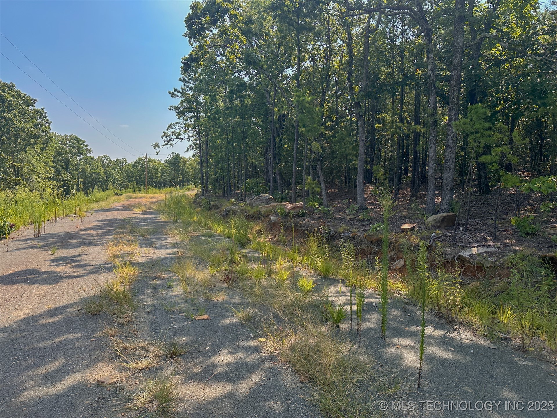 11 Moonshine Drive Property Photo 6