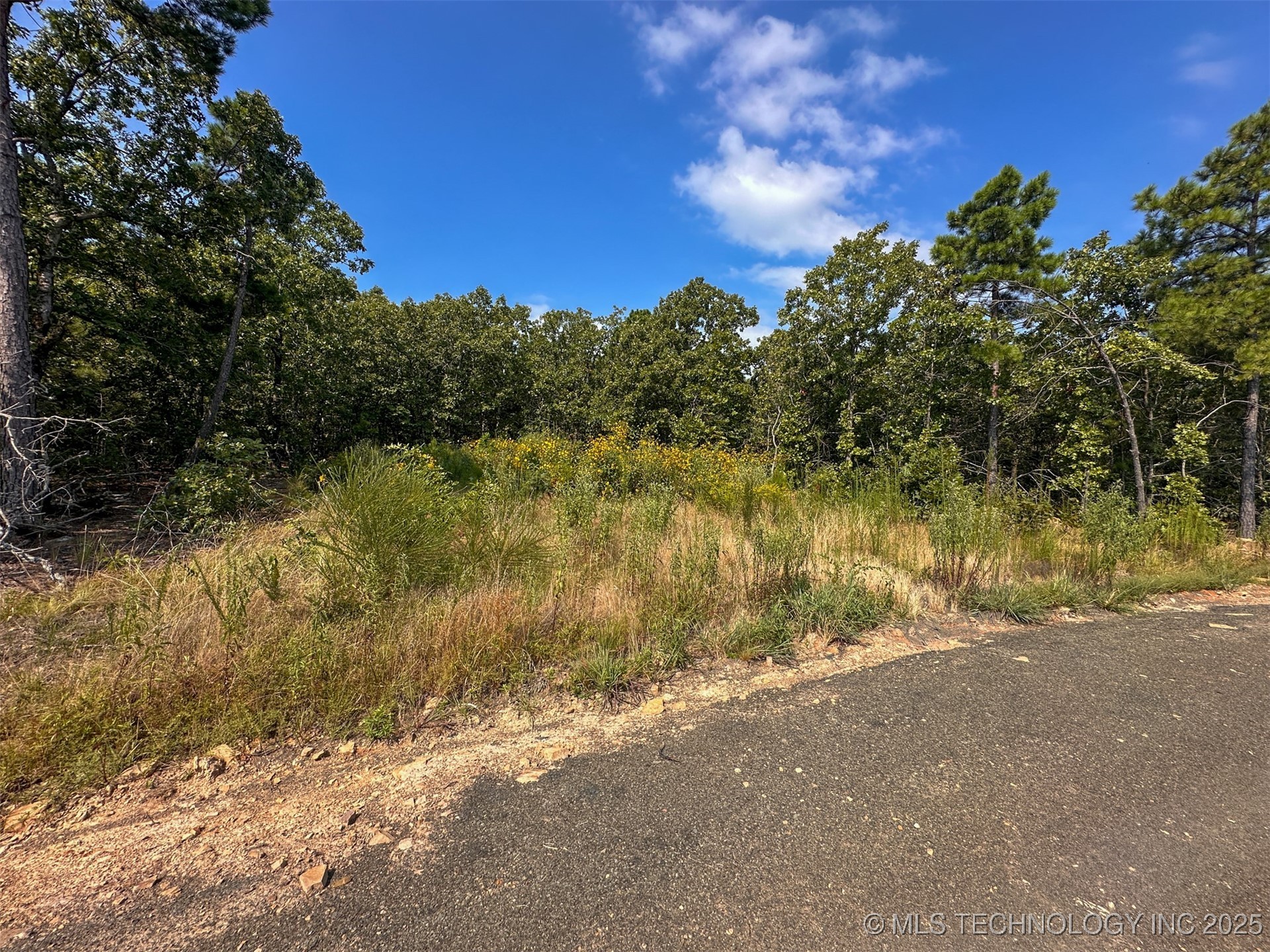 11 Moonshine Drive Property Photo 9