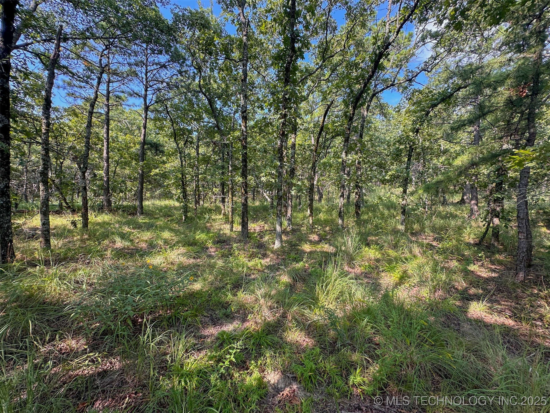 11 Moonshine Drive Property Photo 10