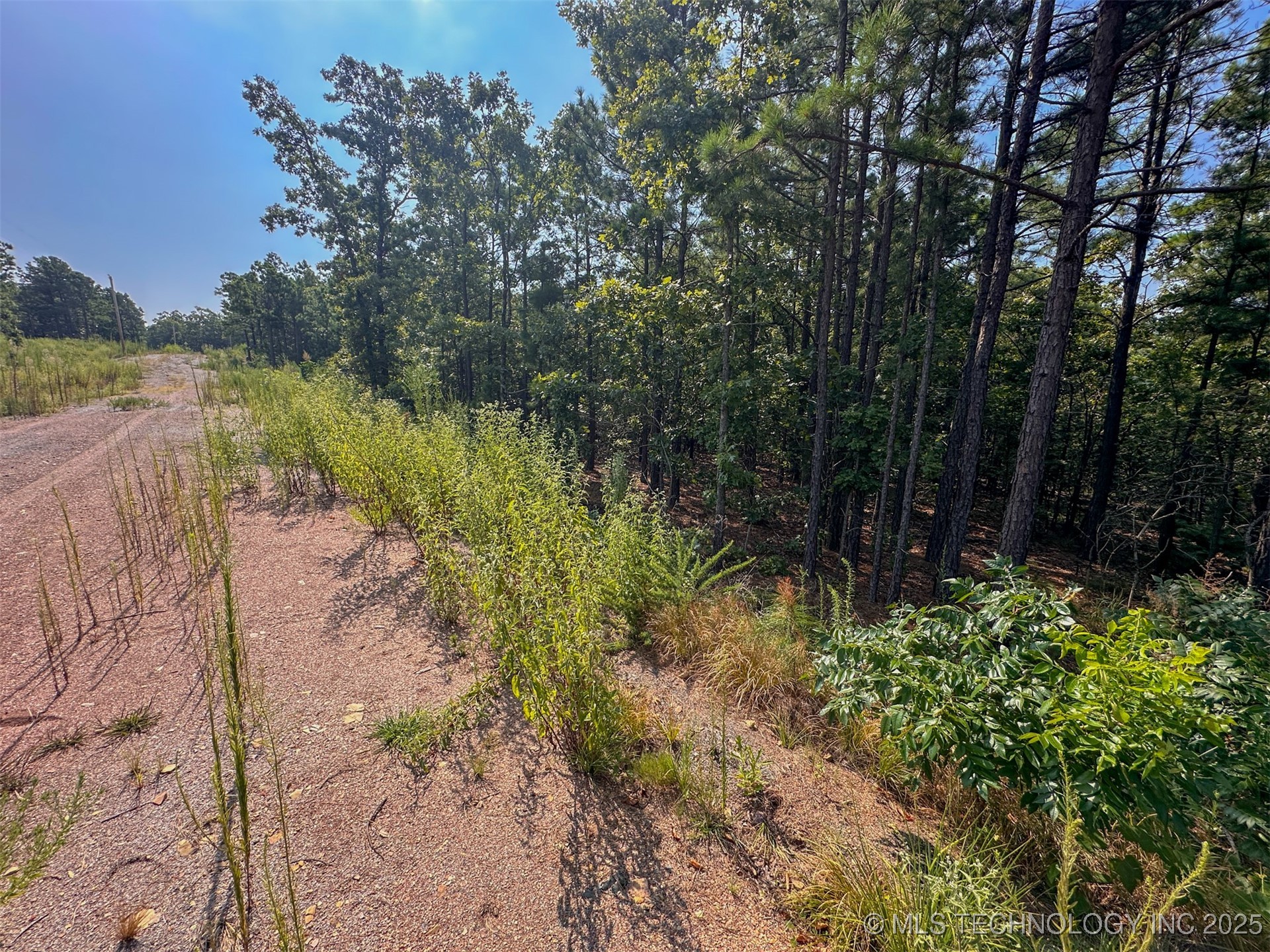 12 Moonshine Drive Property Photo 12