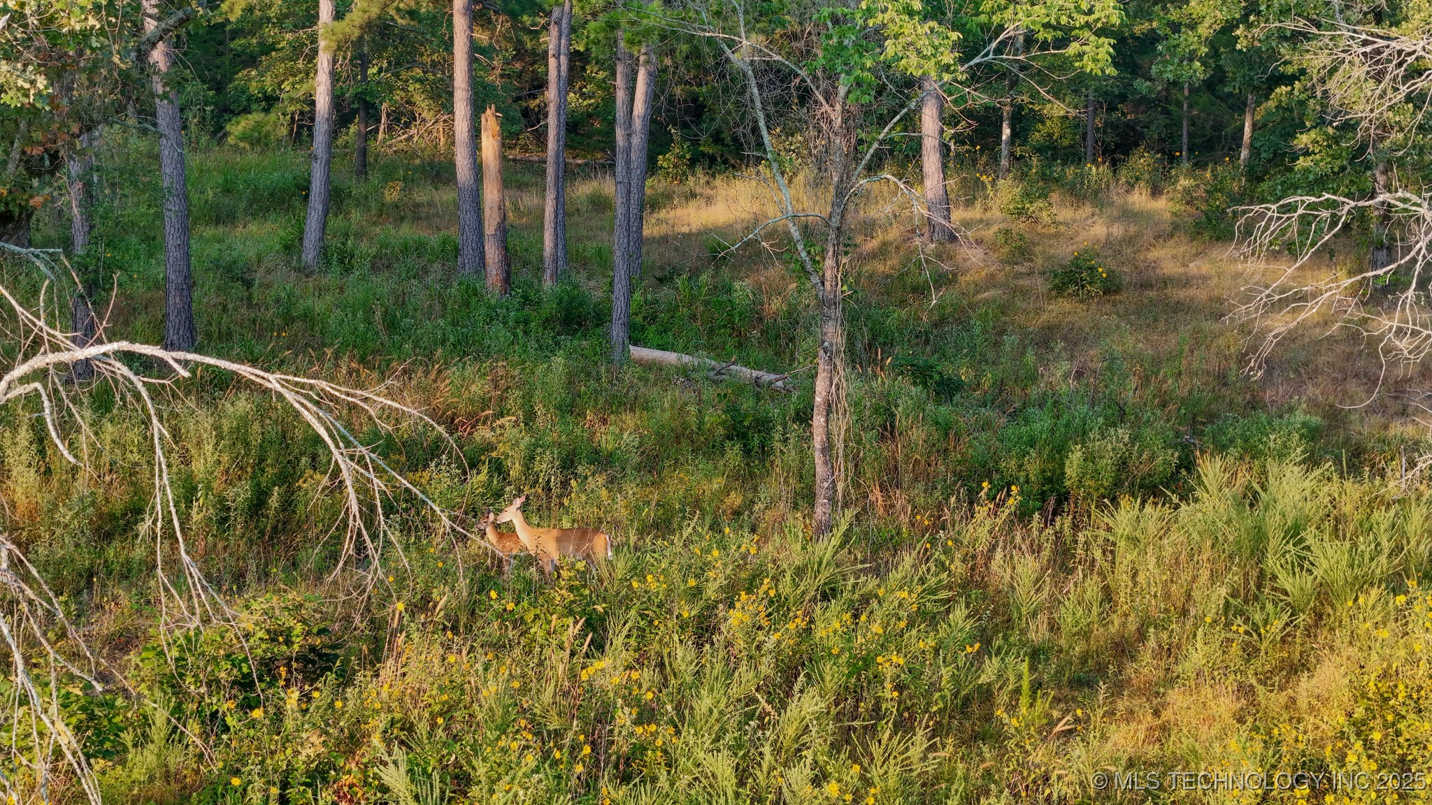 1 State Hwy 43 Property Photo 2