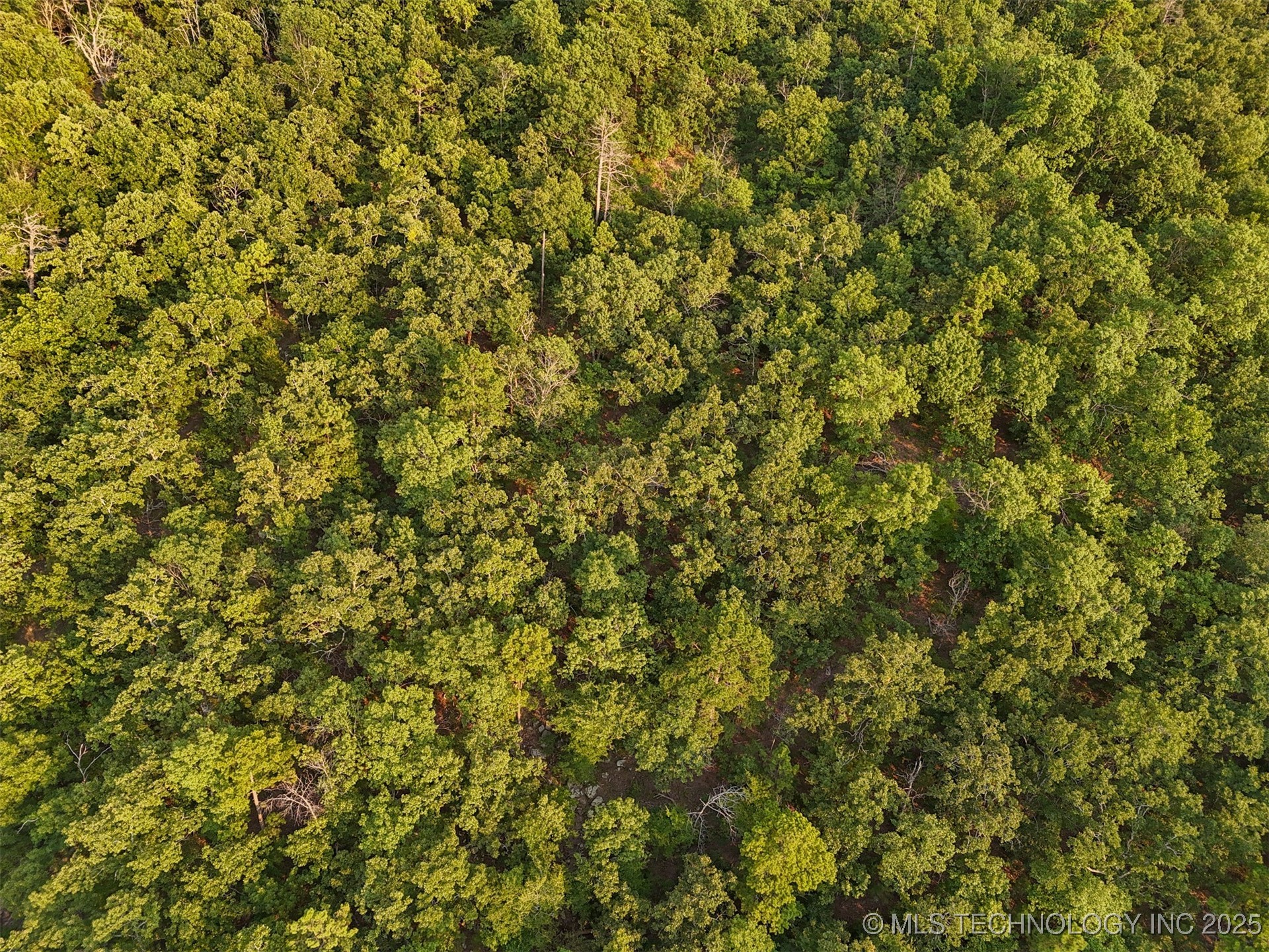 3 State Hwy 43 Property Photo 7