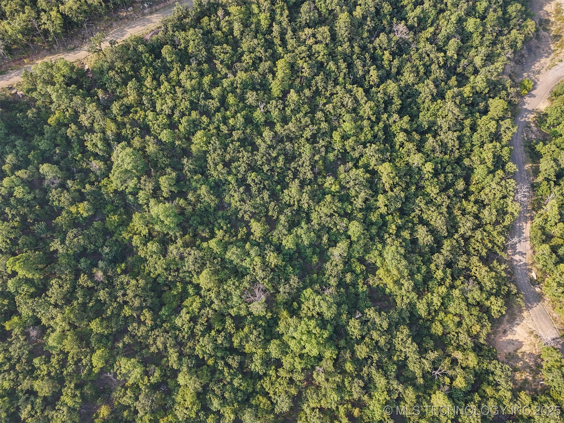 3 State Hwy 43 Property Photo 15