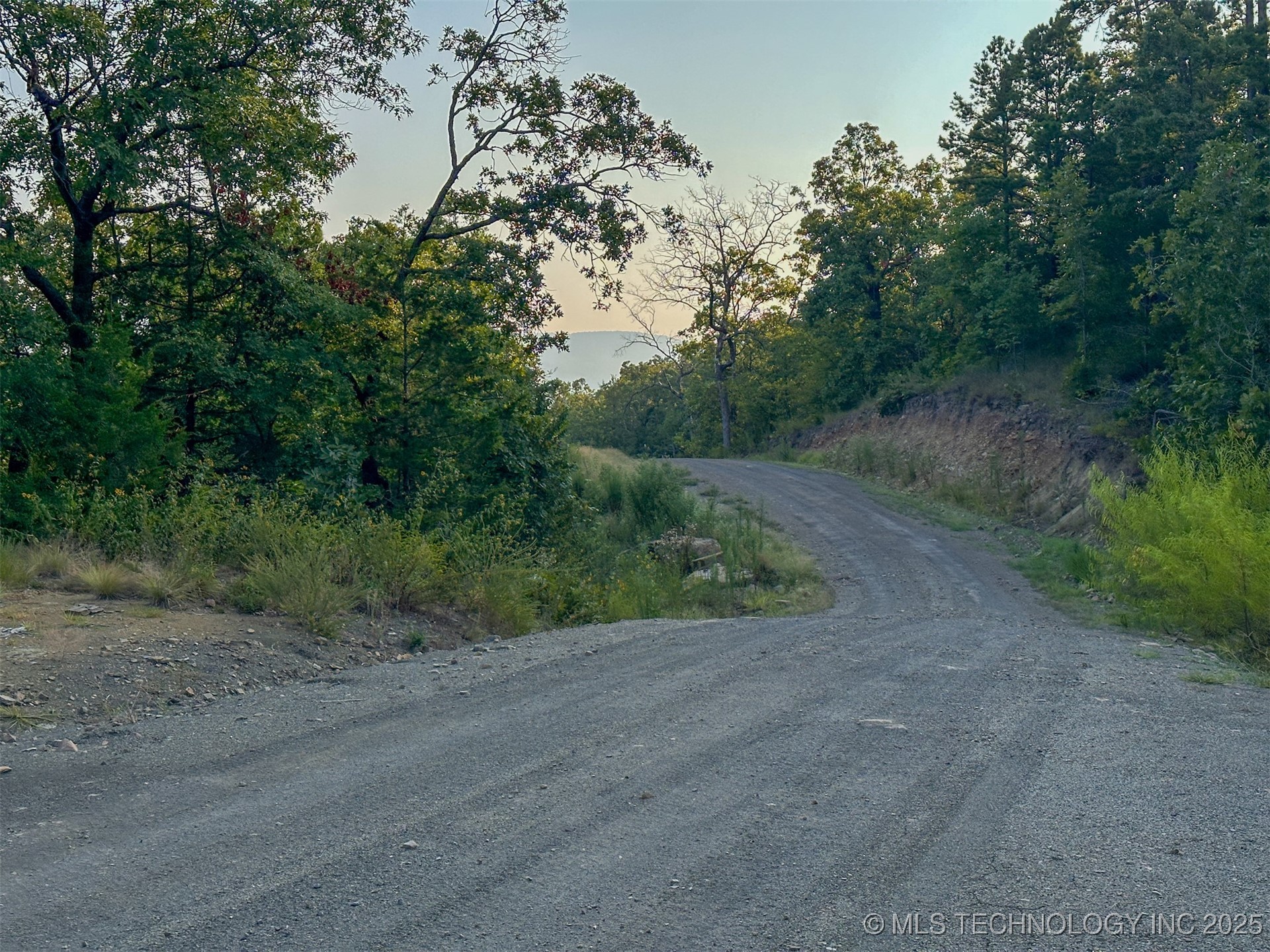 4 State Hwy 43 Property Photo 3