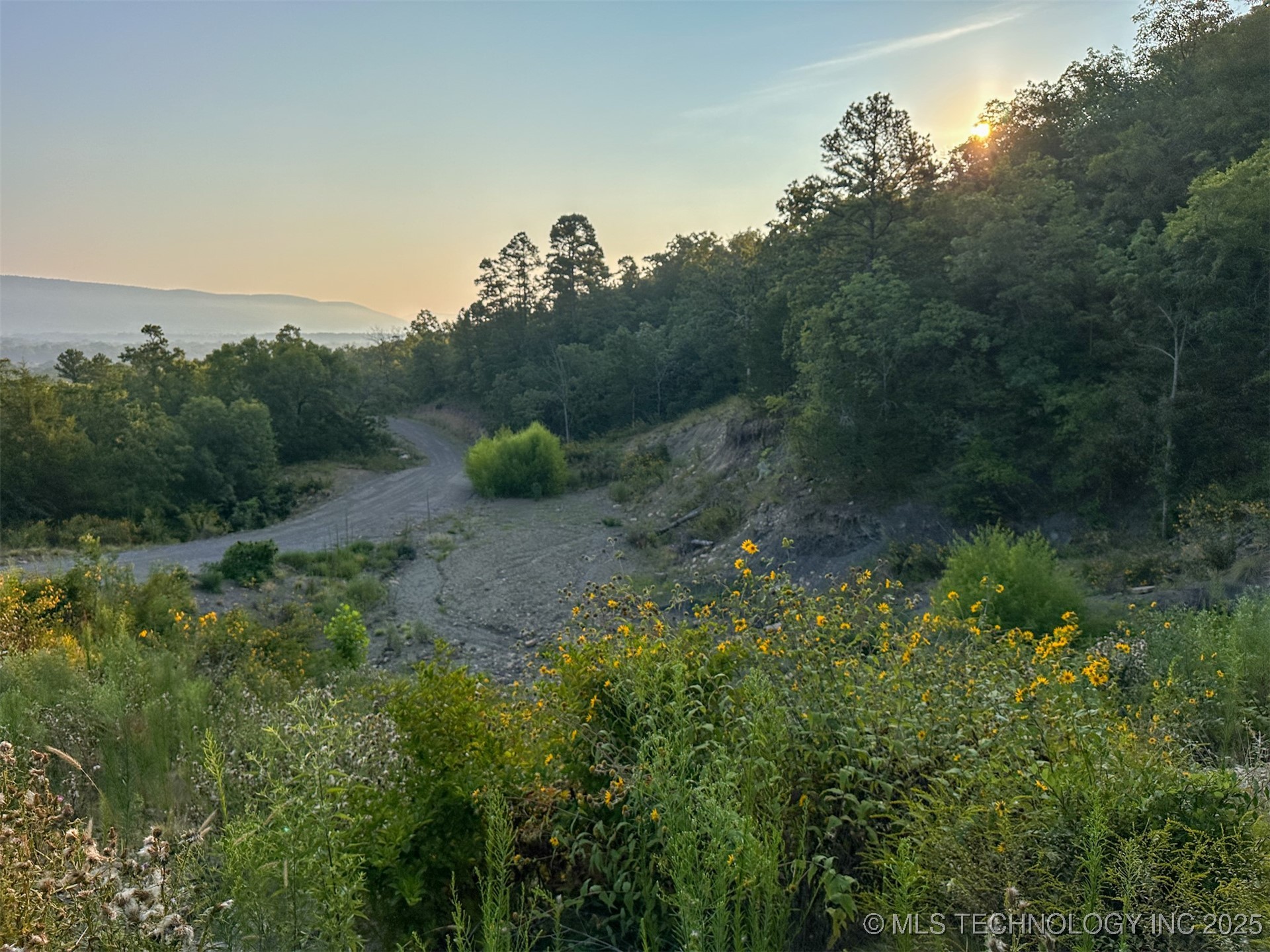 4 State Hwy 43 Property Photo 9