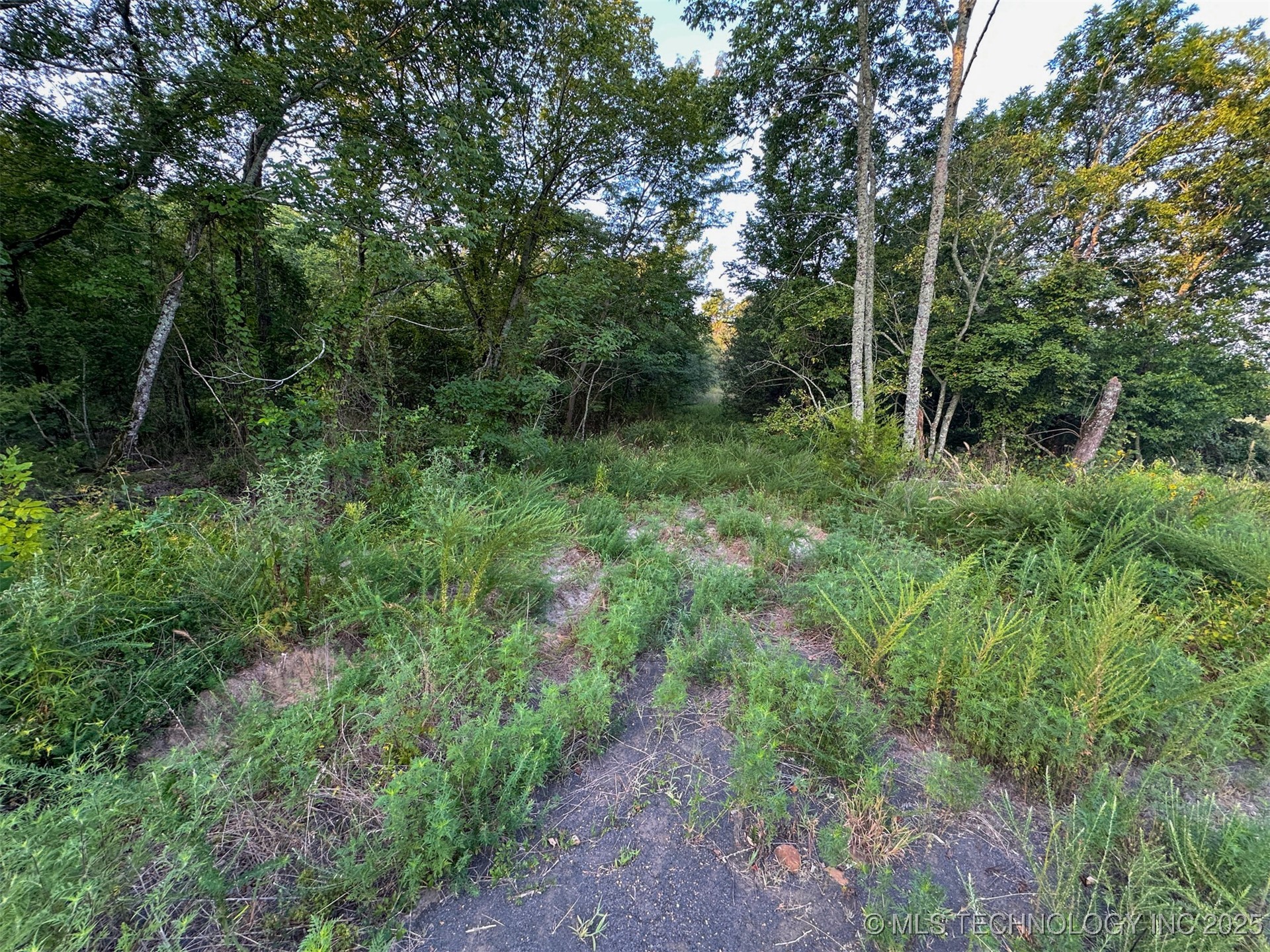 4 State Hwy 43 Property Photo 13