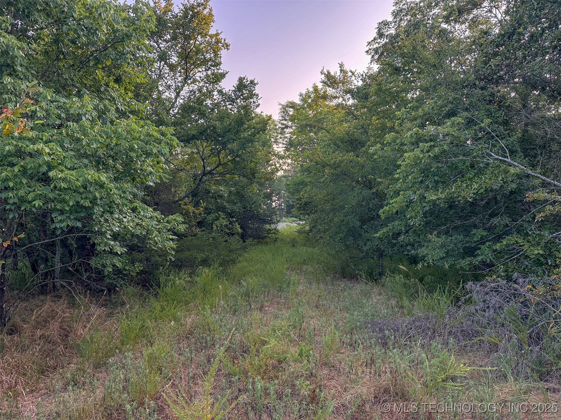 4 State Hwy 43 Property Photo 14