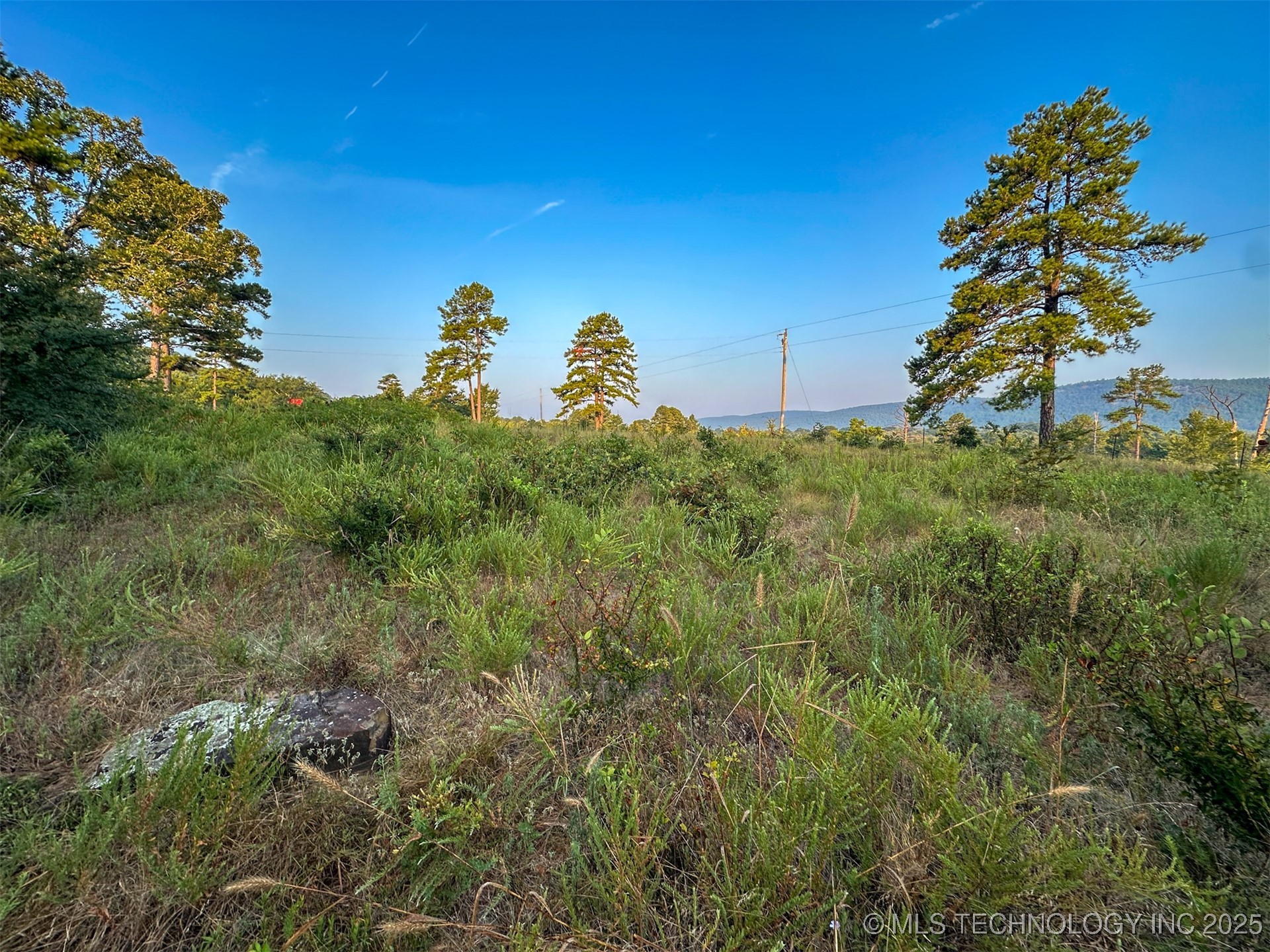 4 State Hwy 43 Property Photo 15