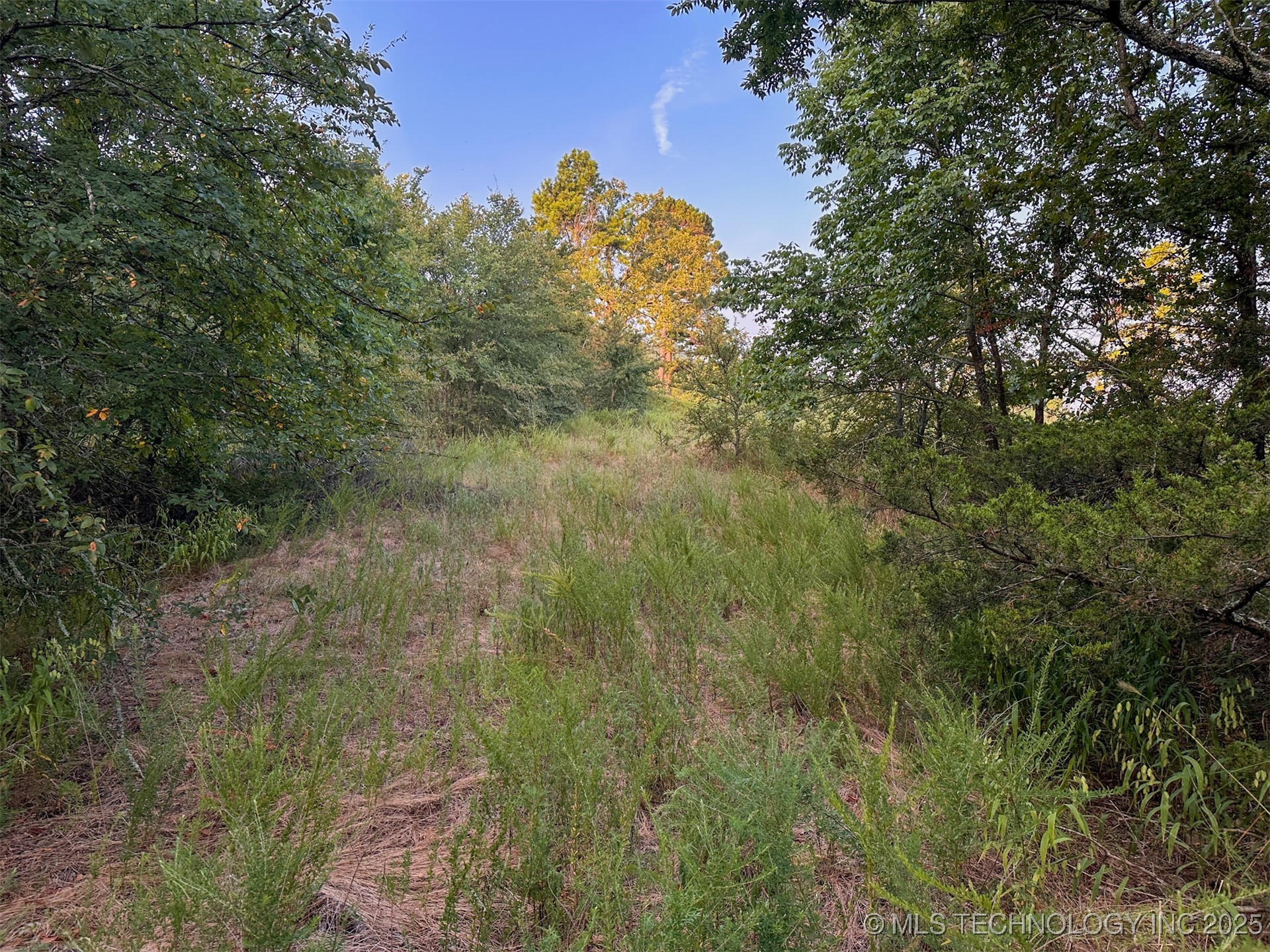 4 State Hwy 43 Property Photo 16