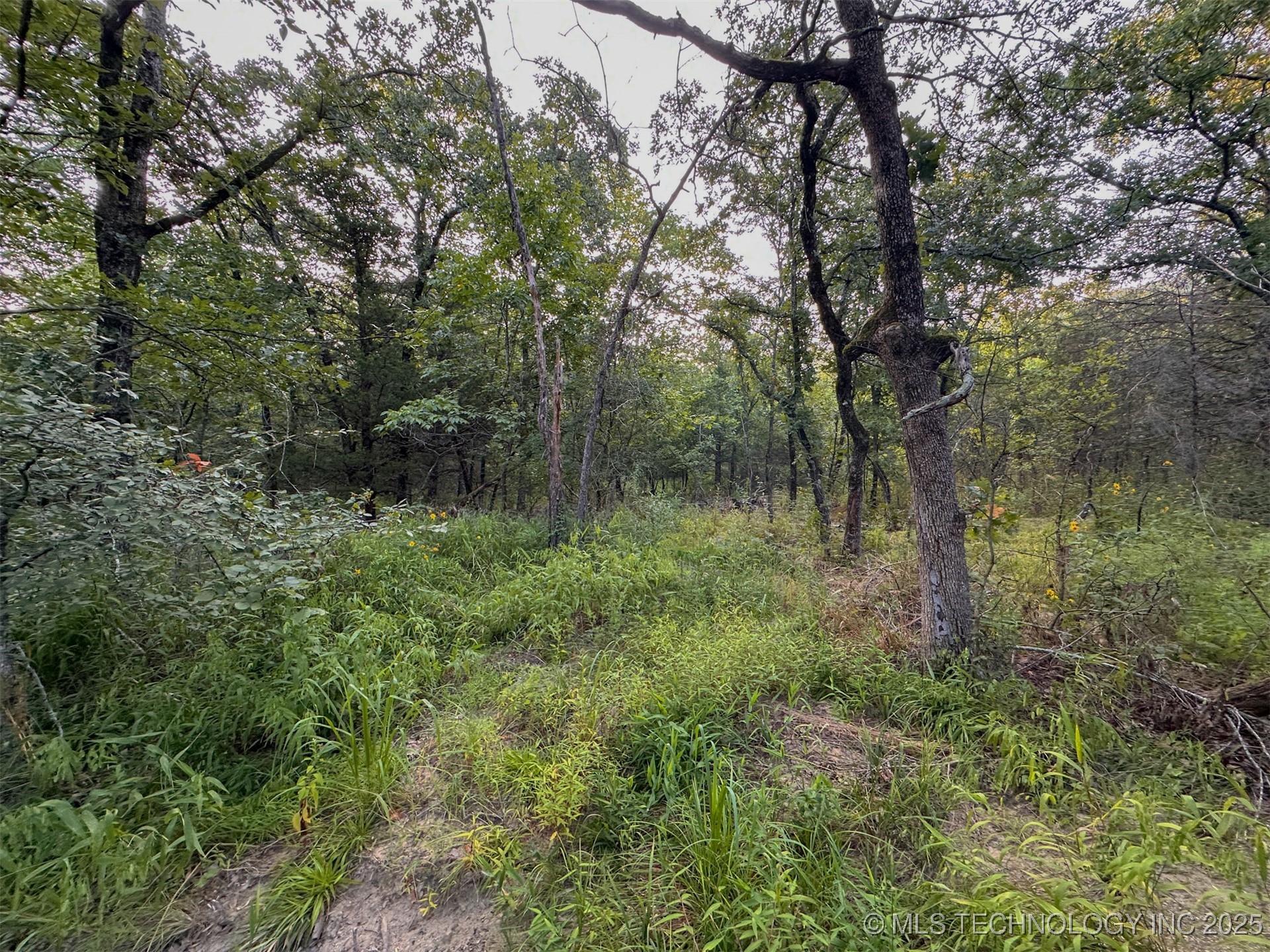 4 State Hwy 43 Property Photo 17