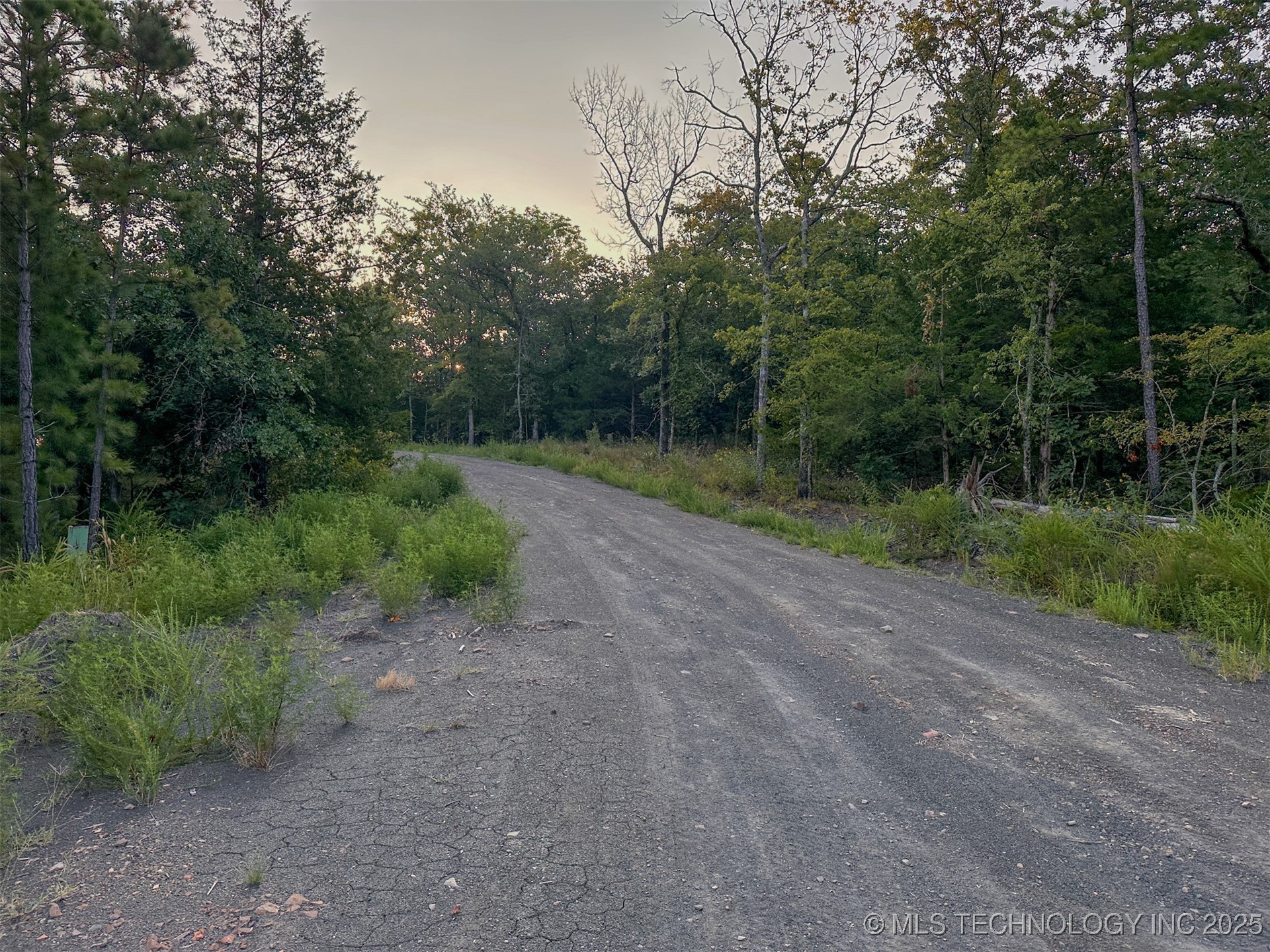 4 State Hwy 43 Property Photo 21