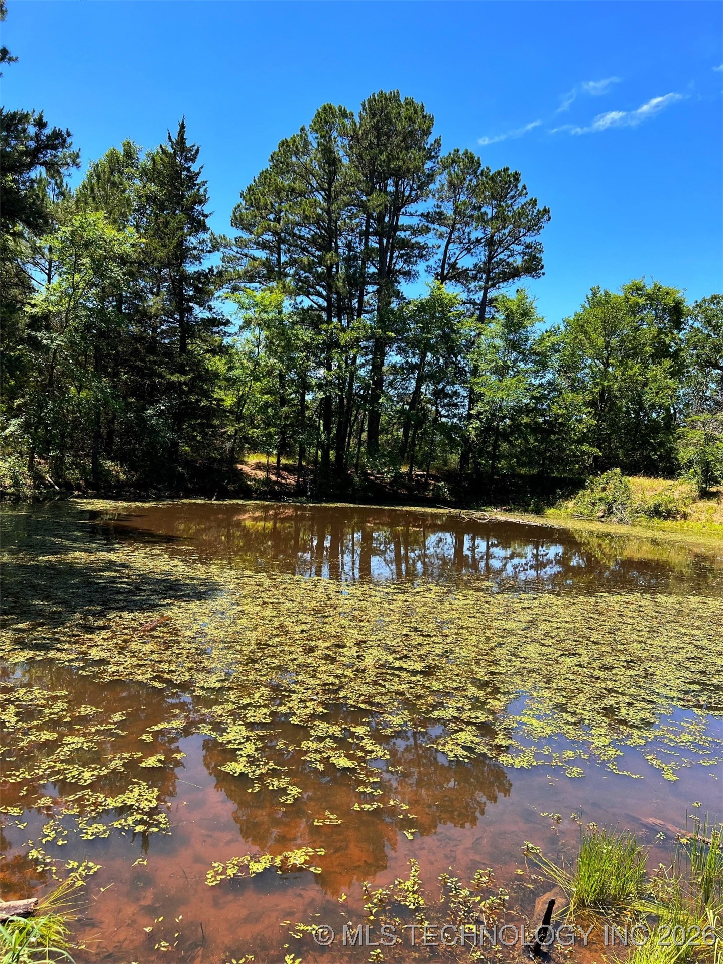 44418 S Country Road 608 Road Property Photo 6