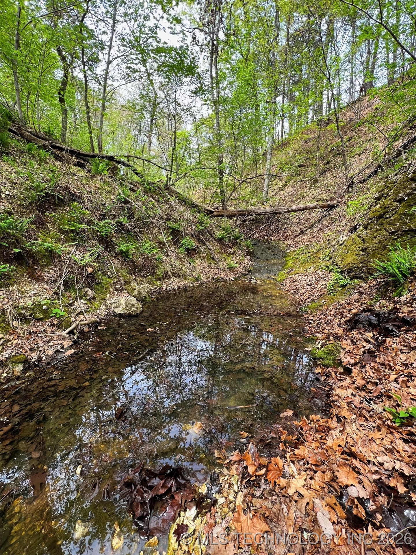 44418 S Country Road 608 Road Property Photo 7