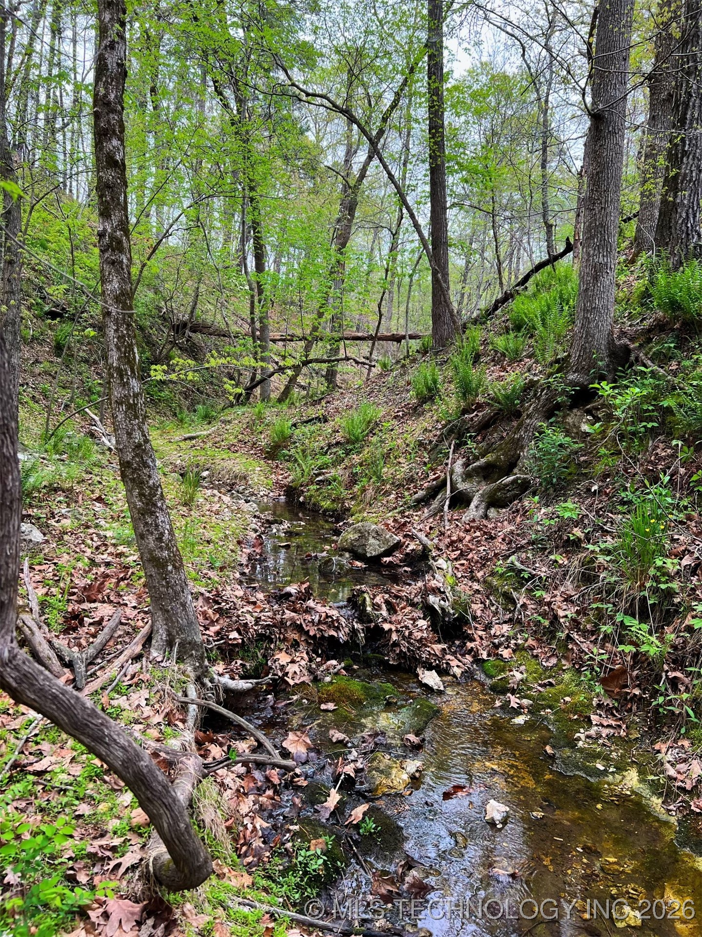 44418 S Country Road 608 Road Property Photo 8