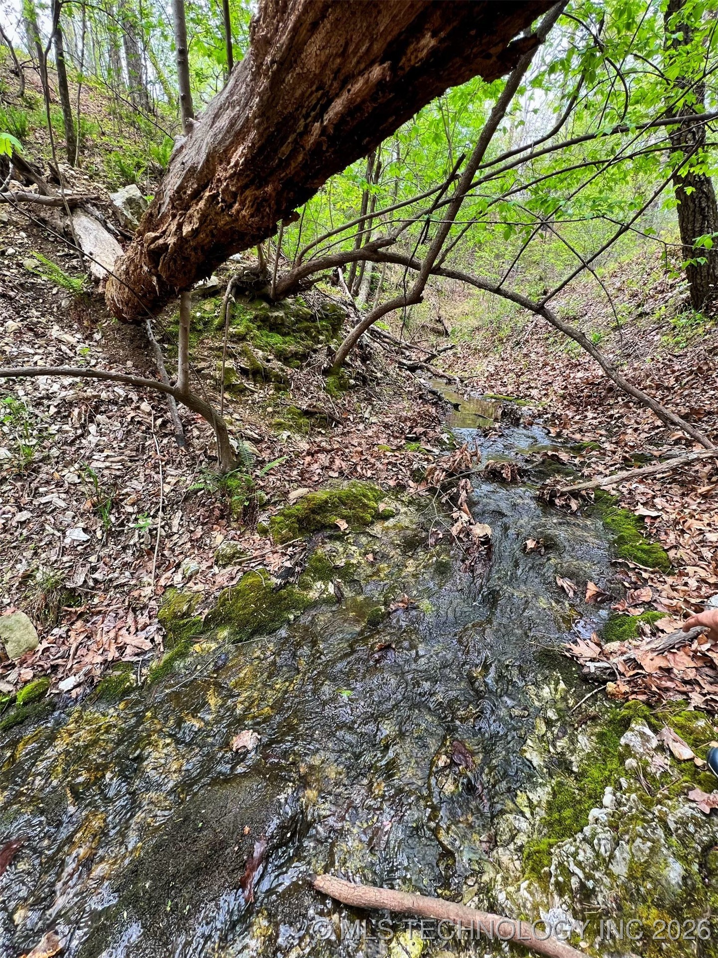 44418 S Country Road 608 Road Property Photo 9
