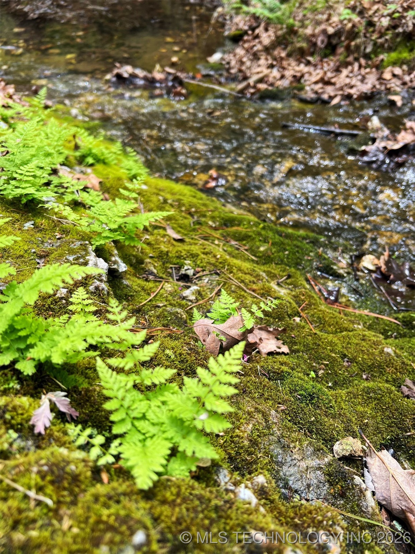 44418 S Country Road 608 Road Property Photo 10