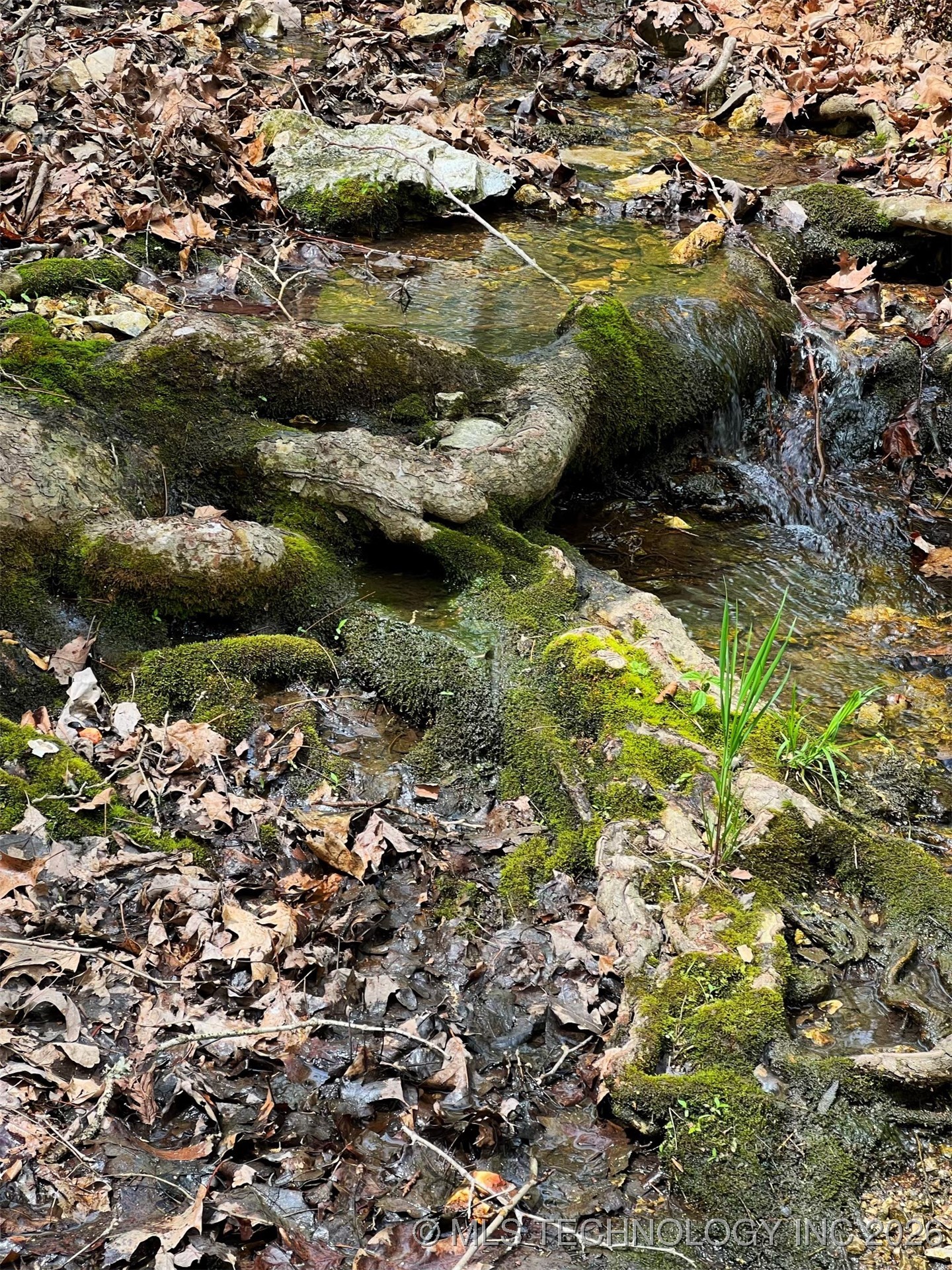 44418 S Country Road 608 Road Property Photo 11