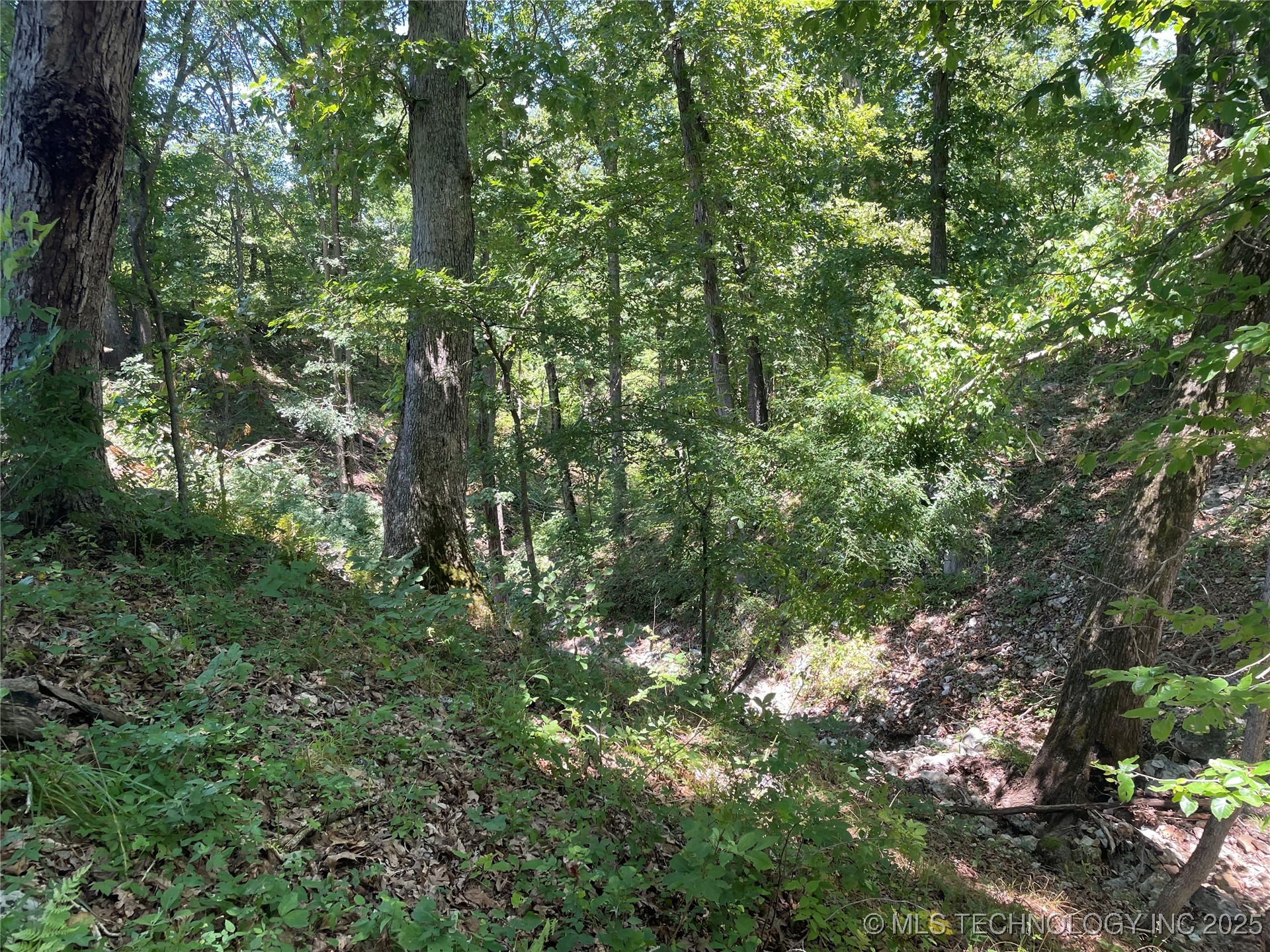 44418 S Country Road 608 Road Property Photo 12