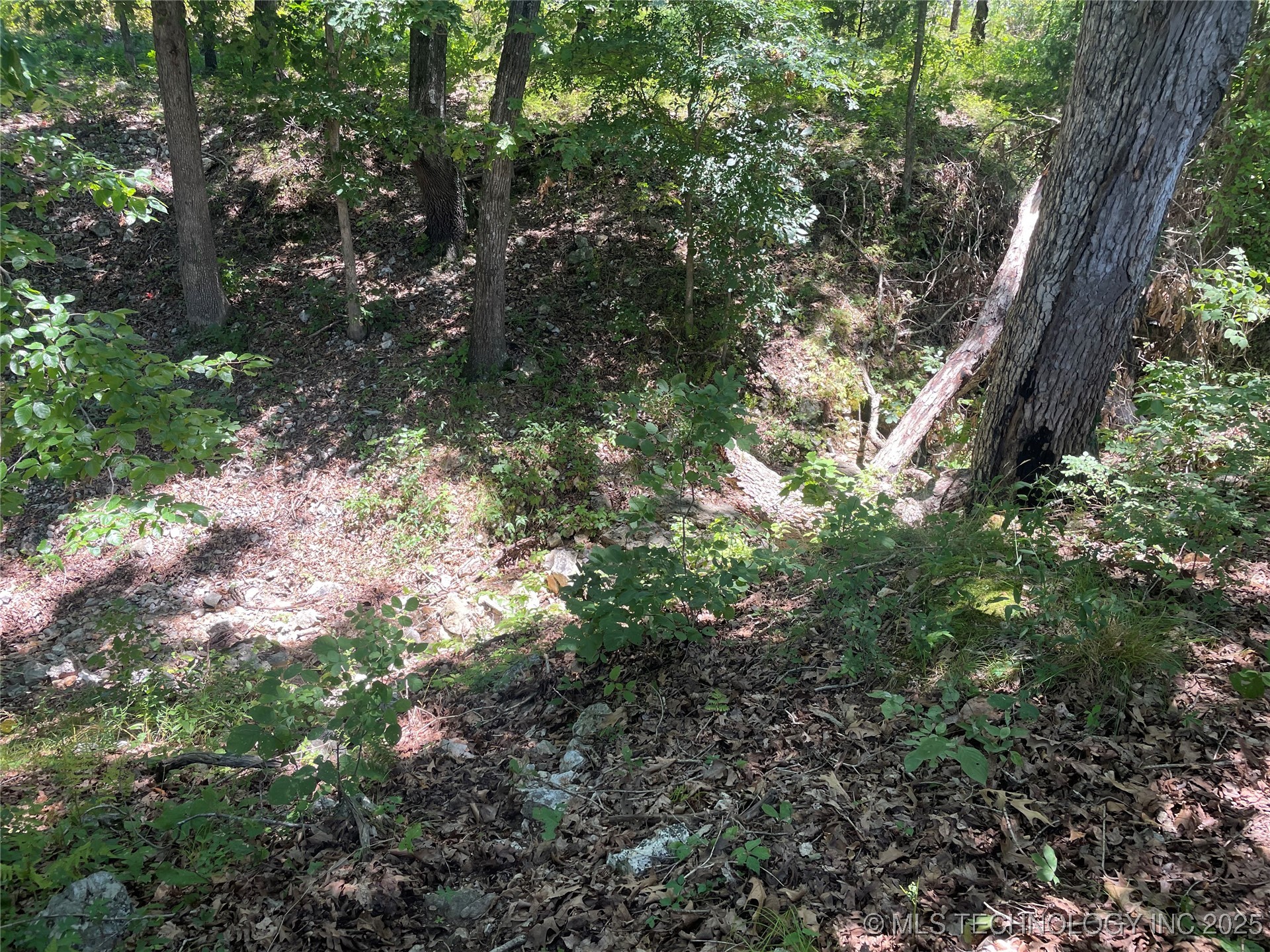 44418 S Country Road 608 Road Property Photo 13