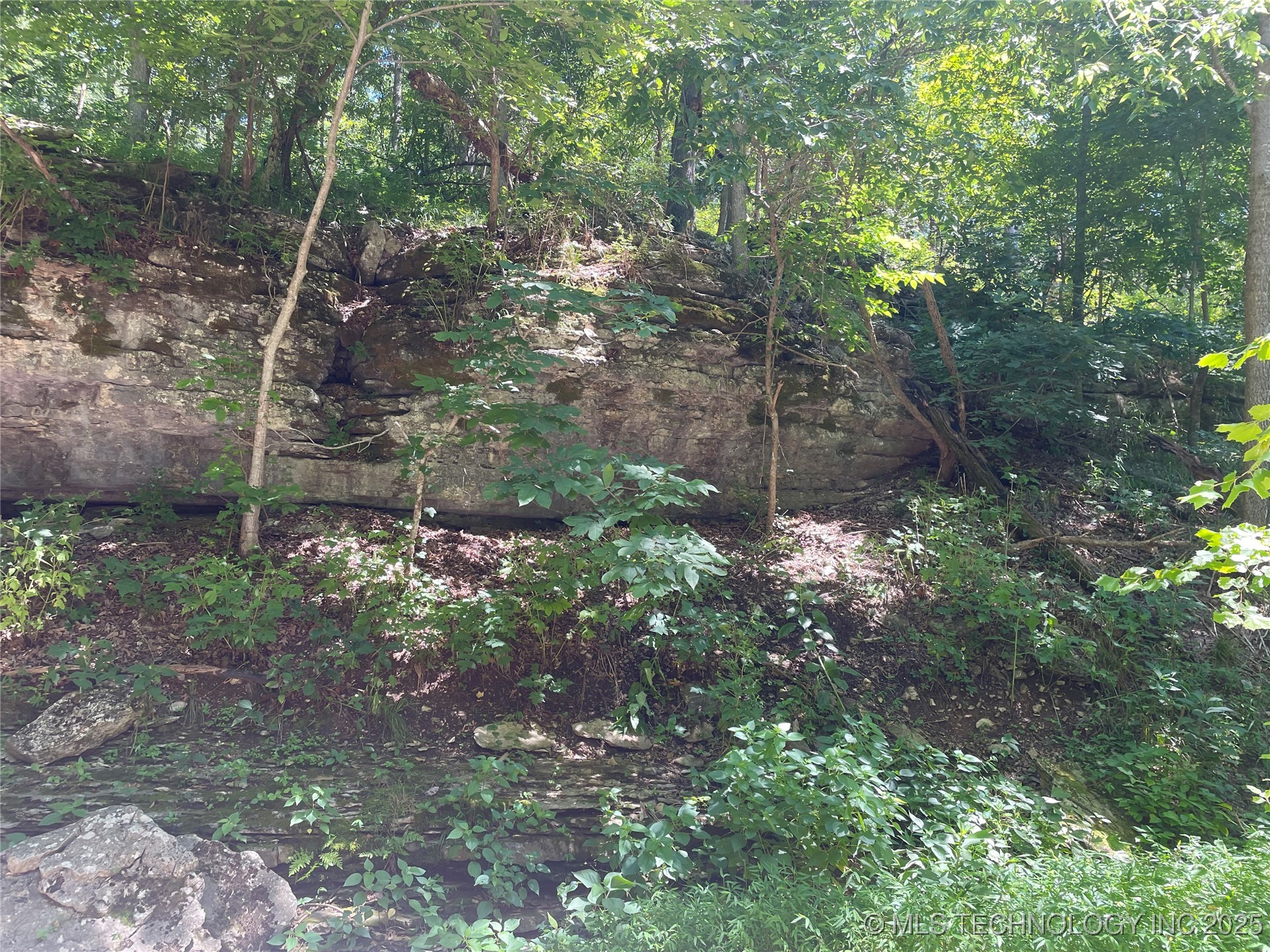 44418 S Country Road 608 Road Property Photo 14