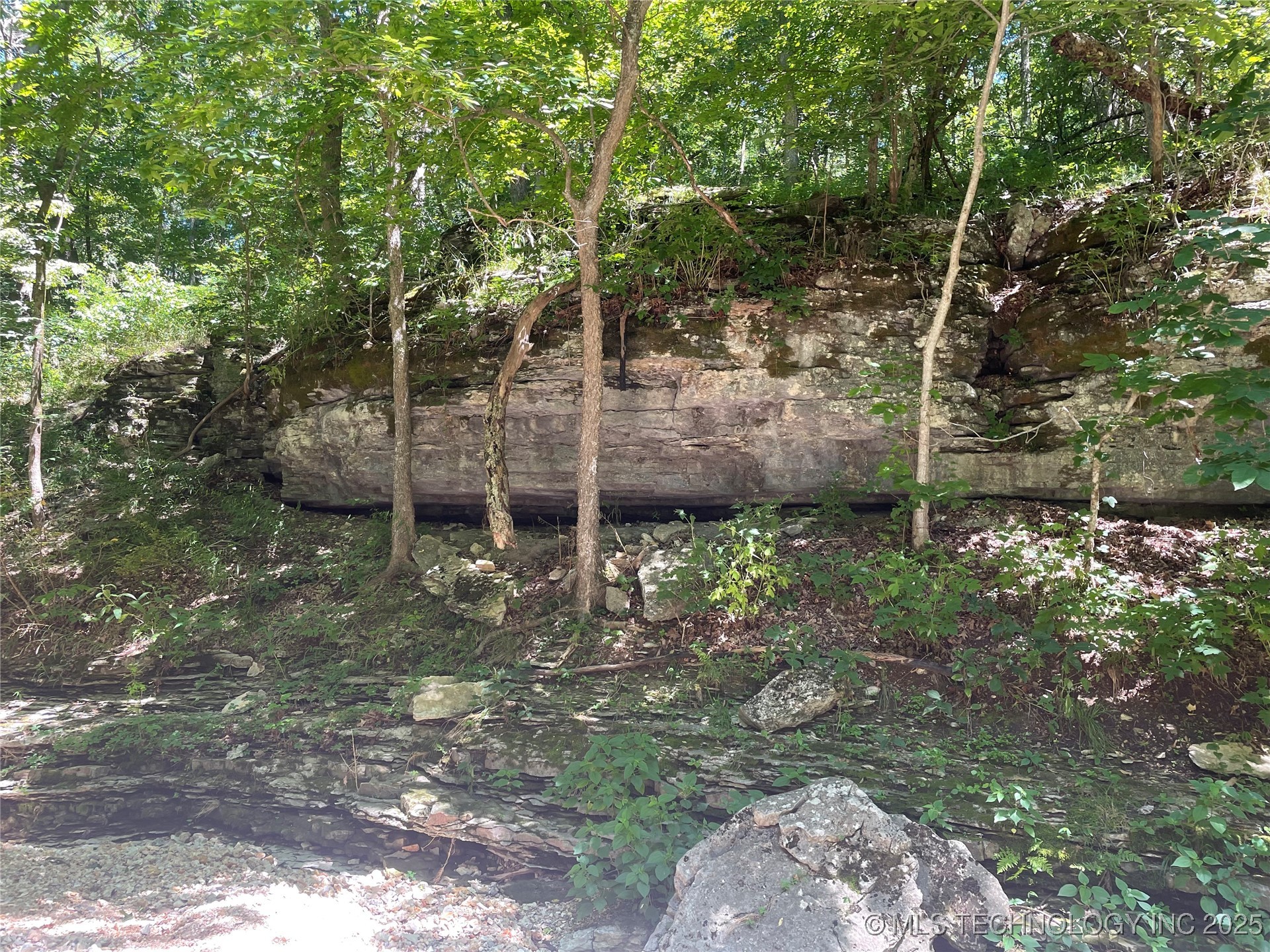 44418 S Country Road 608 Road Property Photo 15