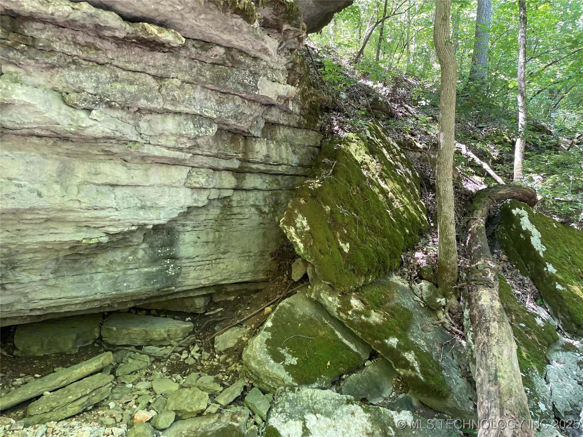 44418 S Country Road 608 Road Property Photo 16