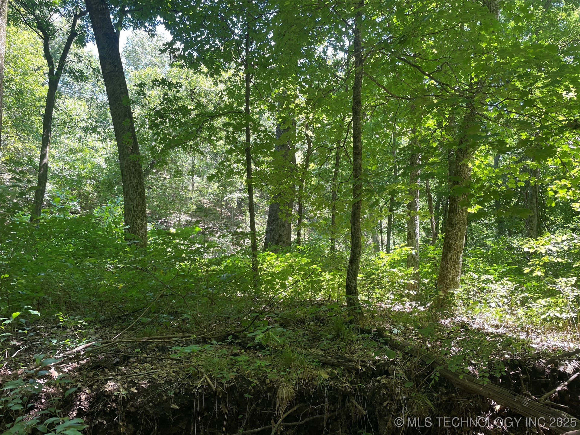 44418 S Country Road 608 Road Property Photo 17