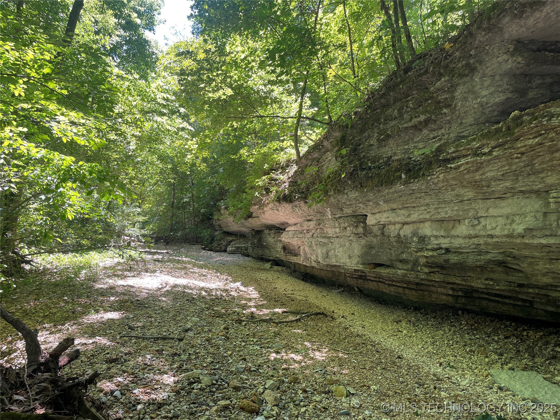 44418 S Country Road 608 Road Property Photo 18