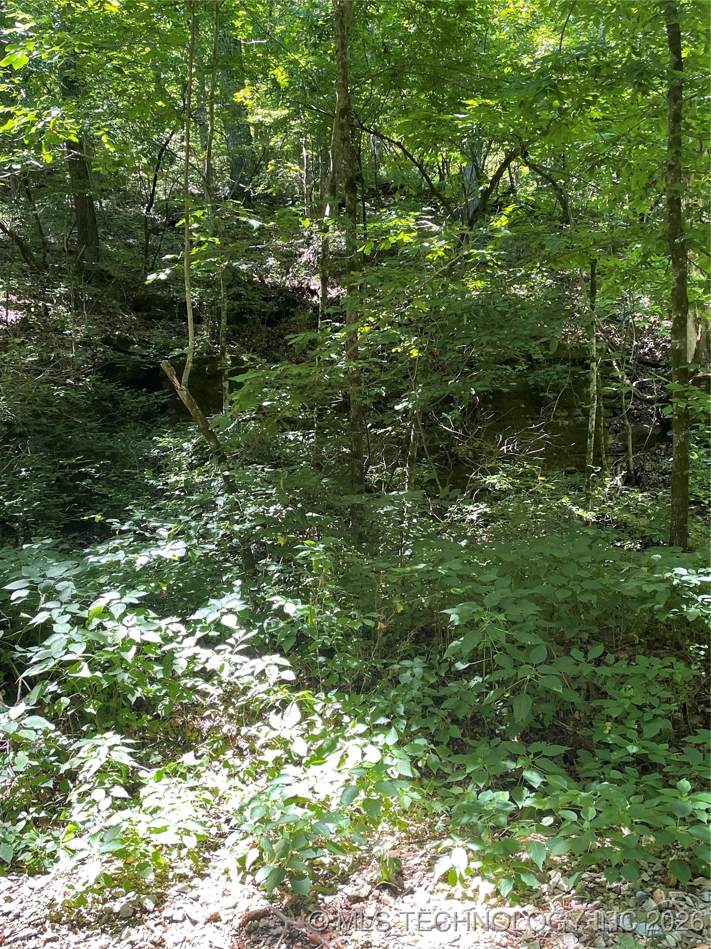 44418 S Country Road 608 Road Property Photo 20