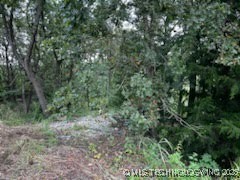 Lakeside Drive Property Photo 5