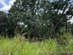 Lakeside Drive Property Photo 6