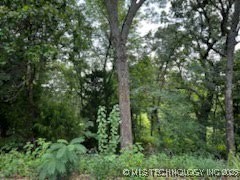 Lakeside Drive Property Photo 9