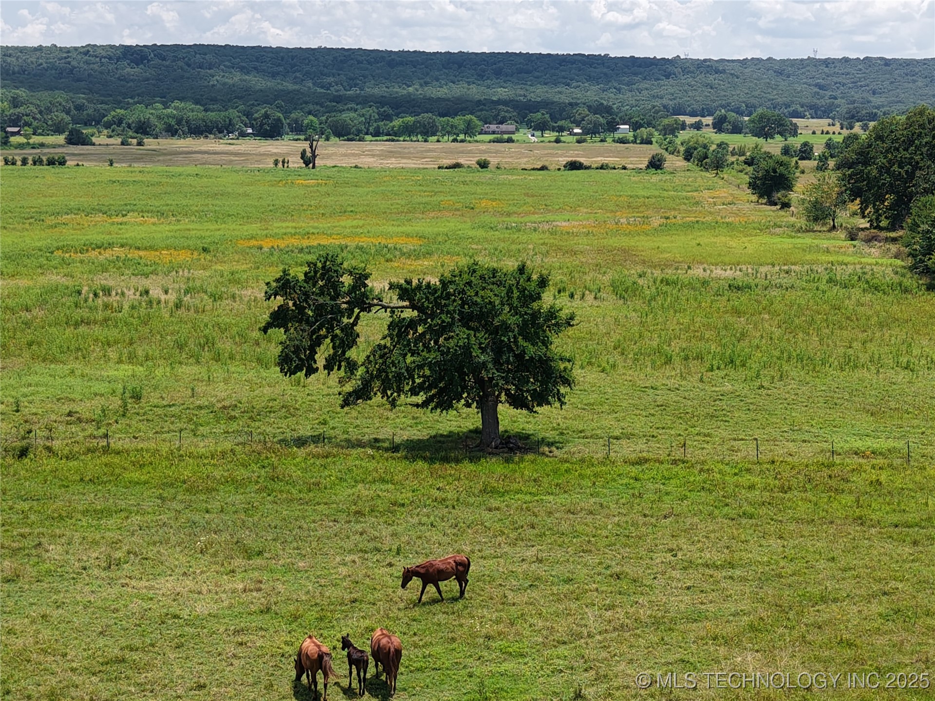 Rural Route Property Photo 8