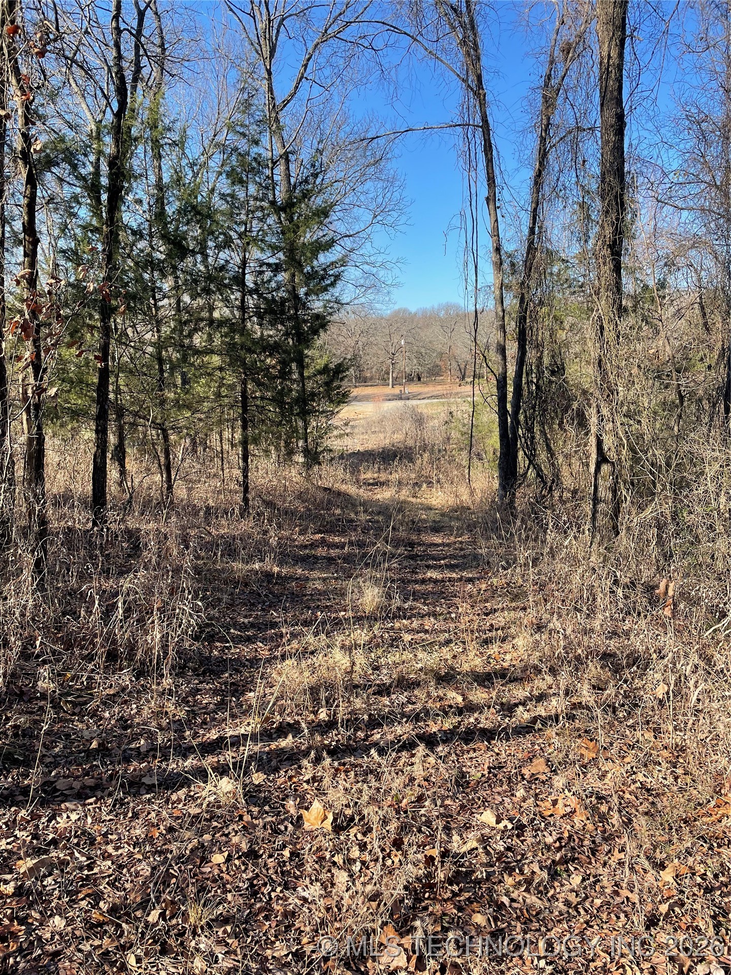 2034 N Ranchette Property Photo 3