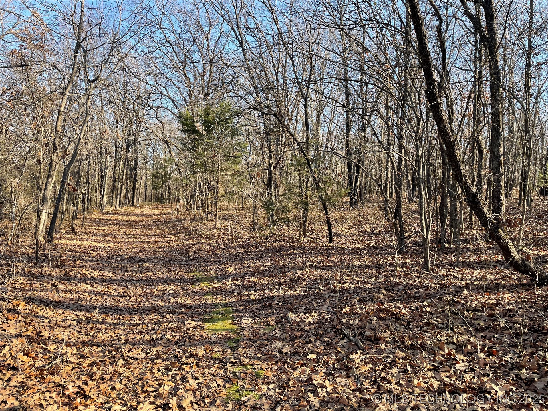 2034 N Ranchette Property Photo 4