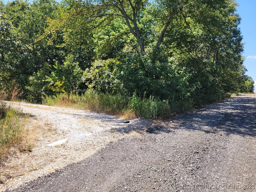 121021 Porcupine Lane