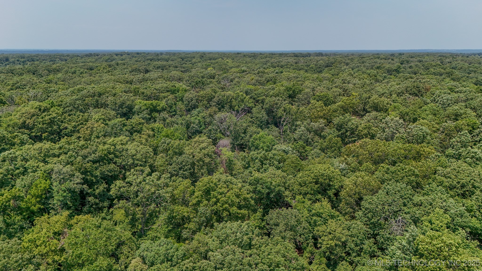 180 E Wyandotte Road Property Photo 6