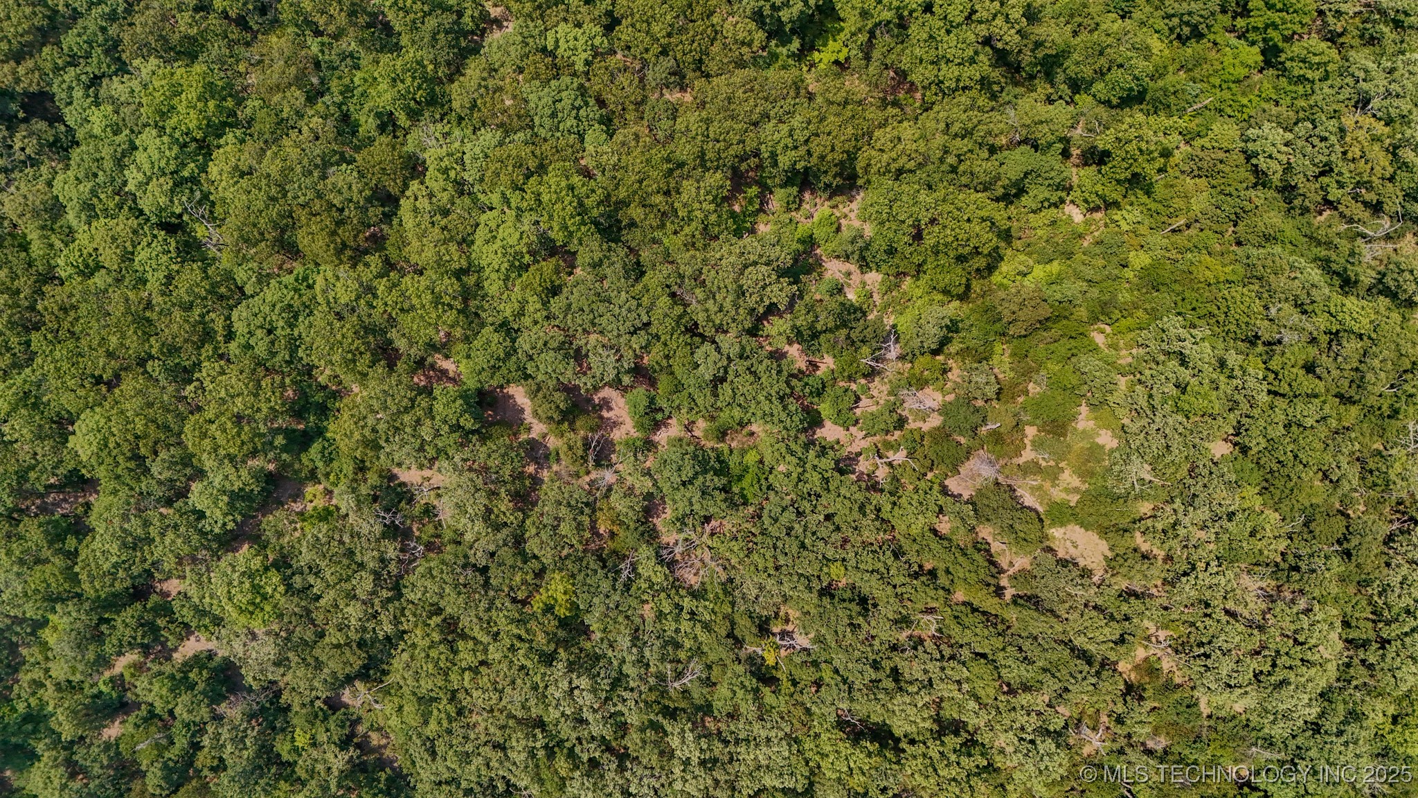 180 E Wyandotte Road Property Photo 7