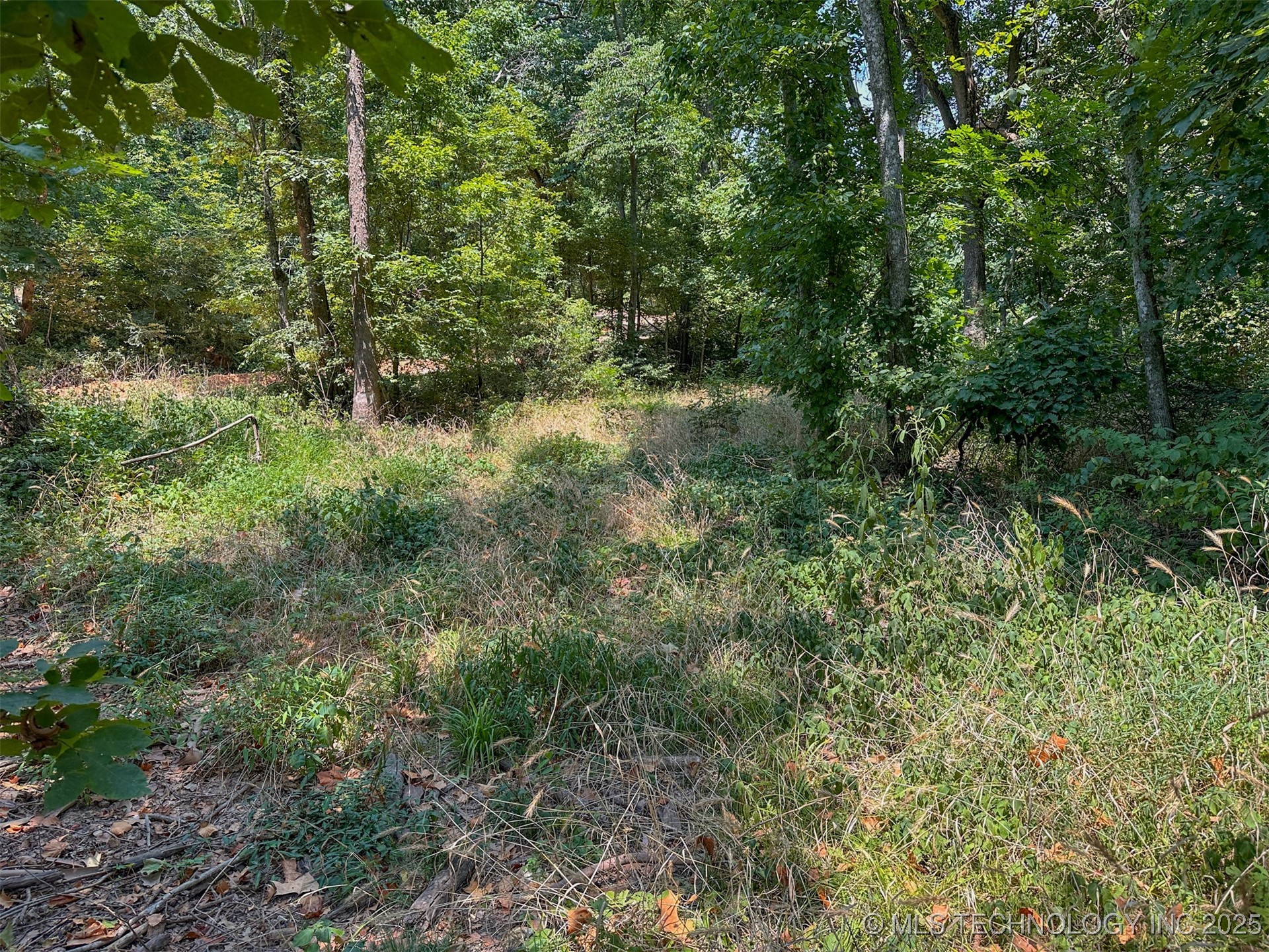 180 E Wyandotte Road Property Photo 12