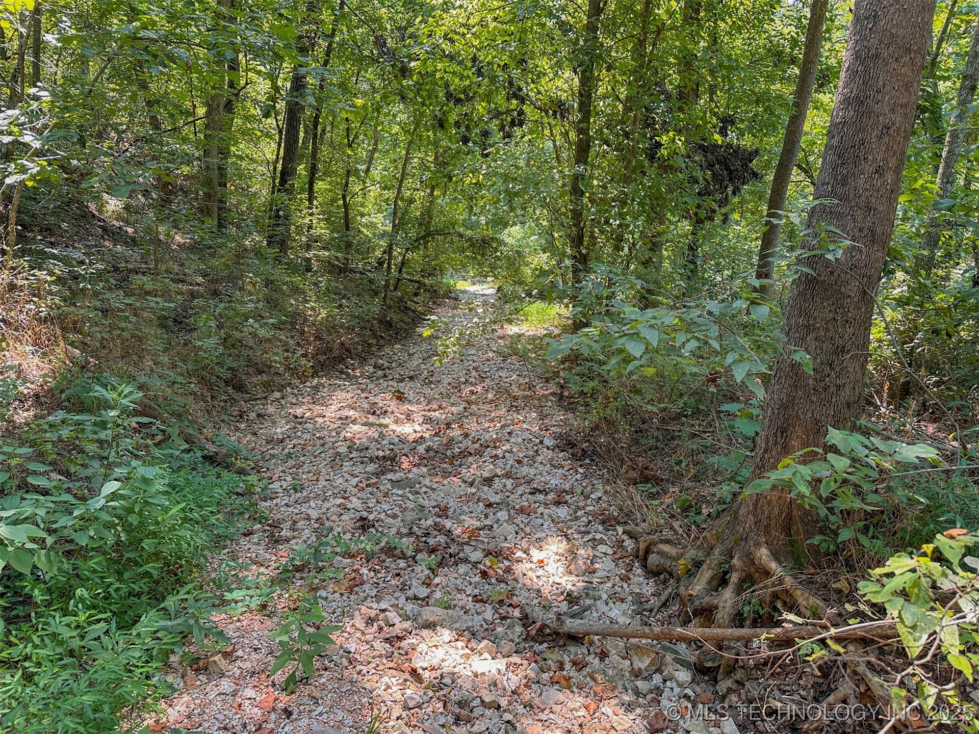 180 E Wyandotte Road Property Photo 13