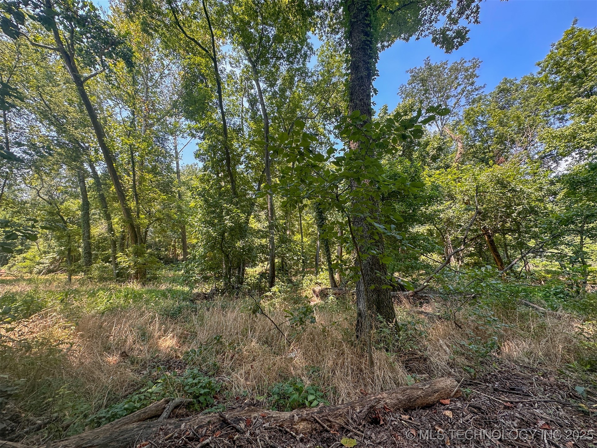 180 E Wyandotte Road Property Photo 15