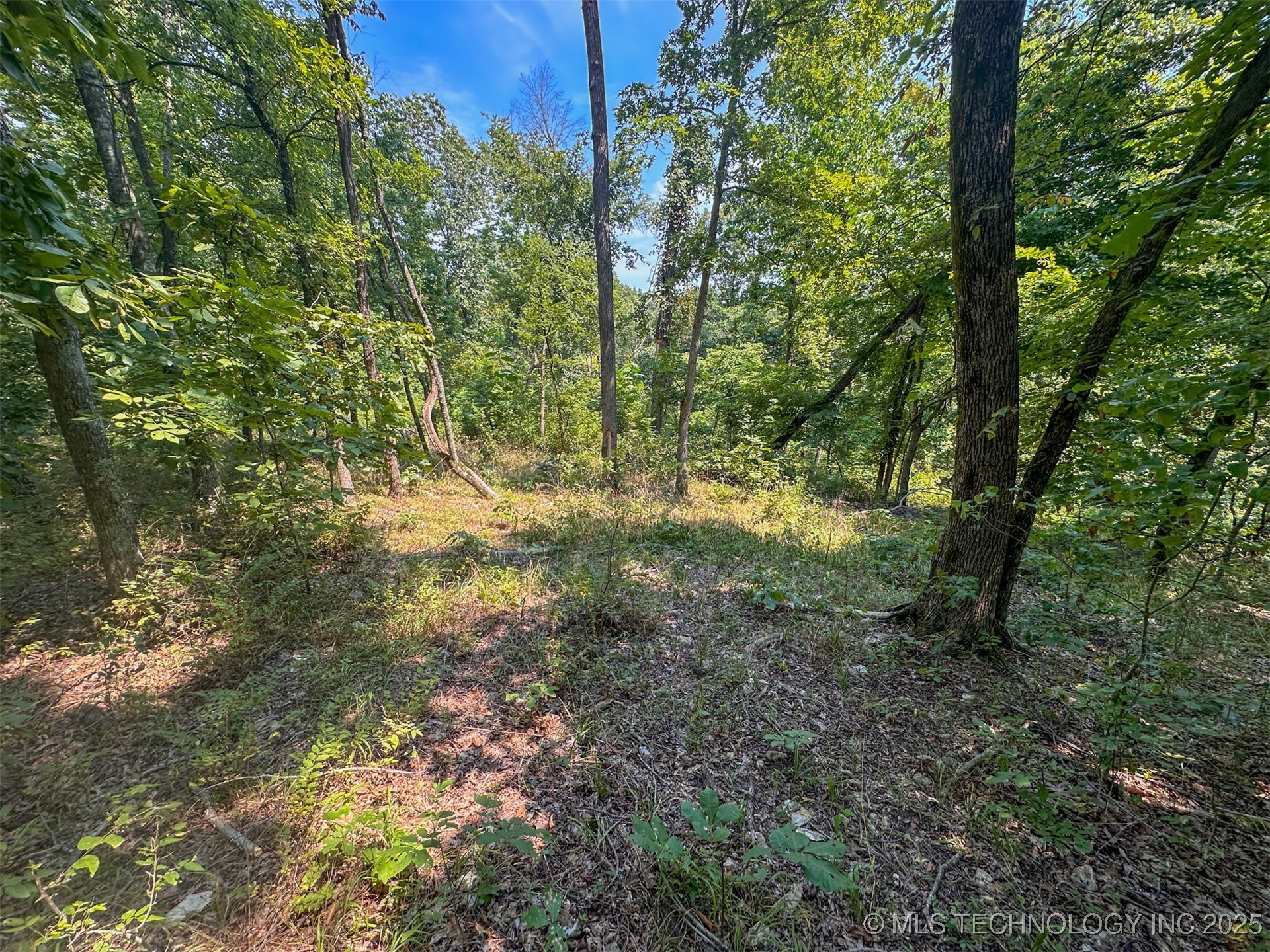 180 E Wyandotte Road Property Photo 19