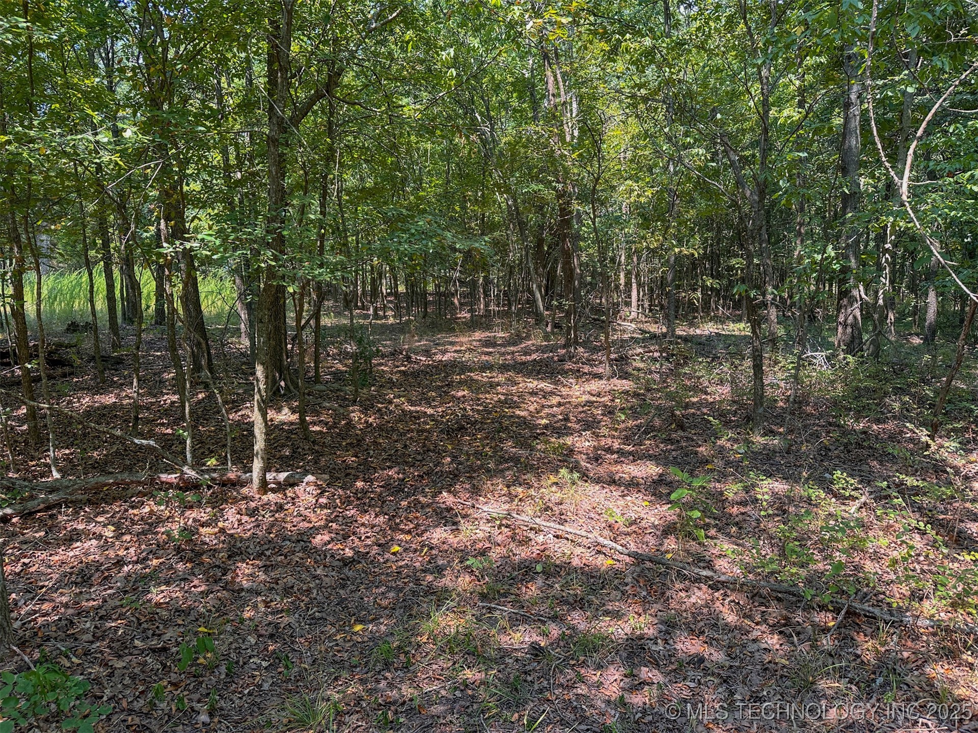 180 E Wyandotte Road Property Photo 20