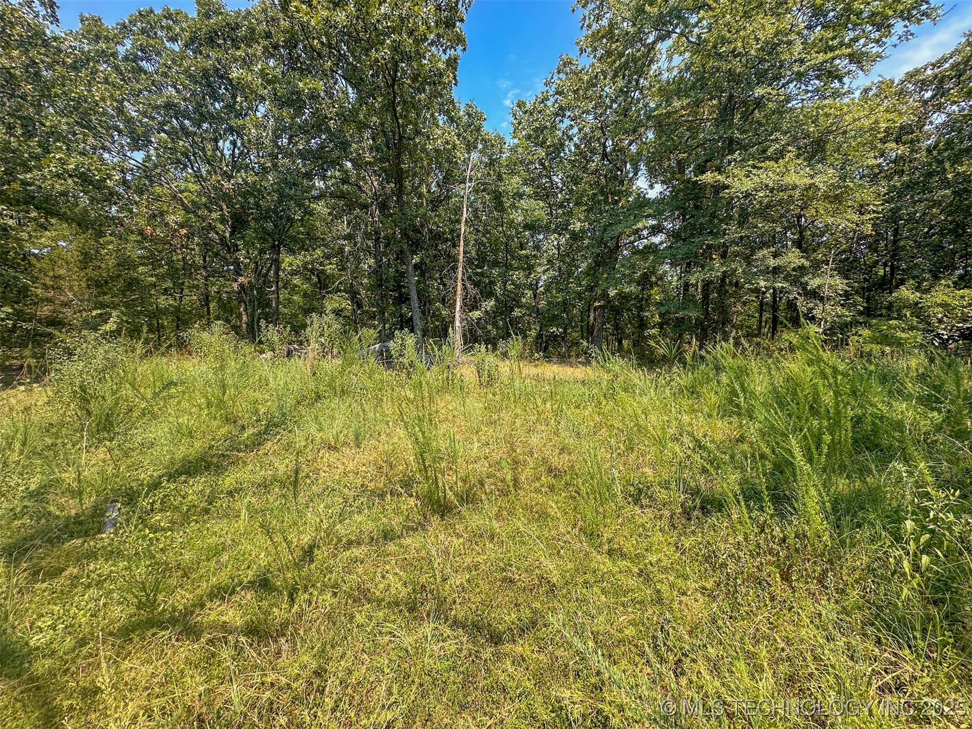 180 E Wyandotte Road Property Photo 22