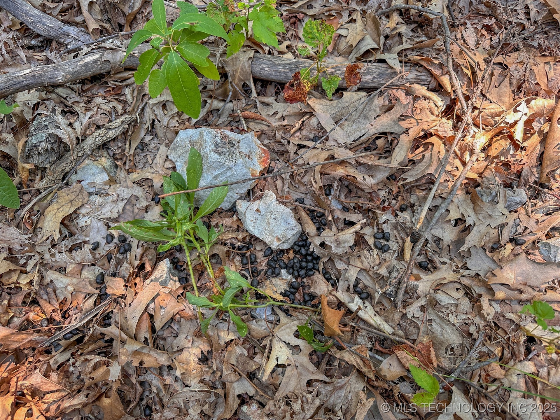 180 E Wyandotte Road Property Photo 23