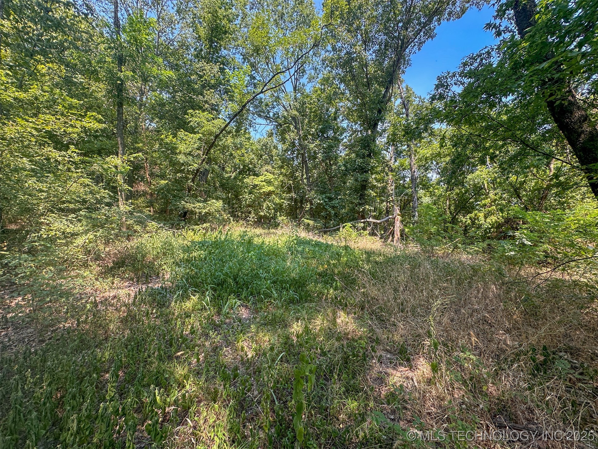 180 E Wyandotte Road Property Photo 25