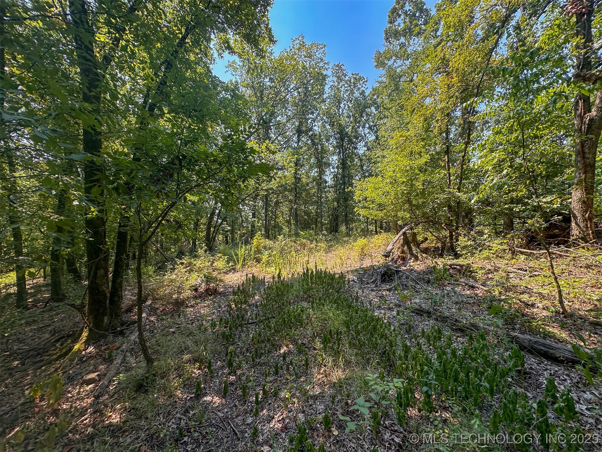 180 E Wyandotte Road Property Photo 28