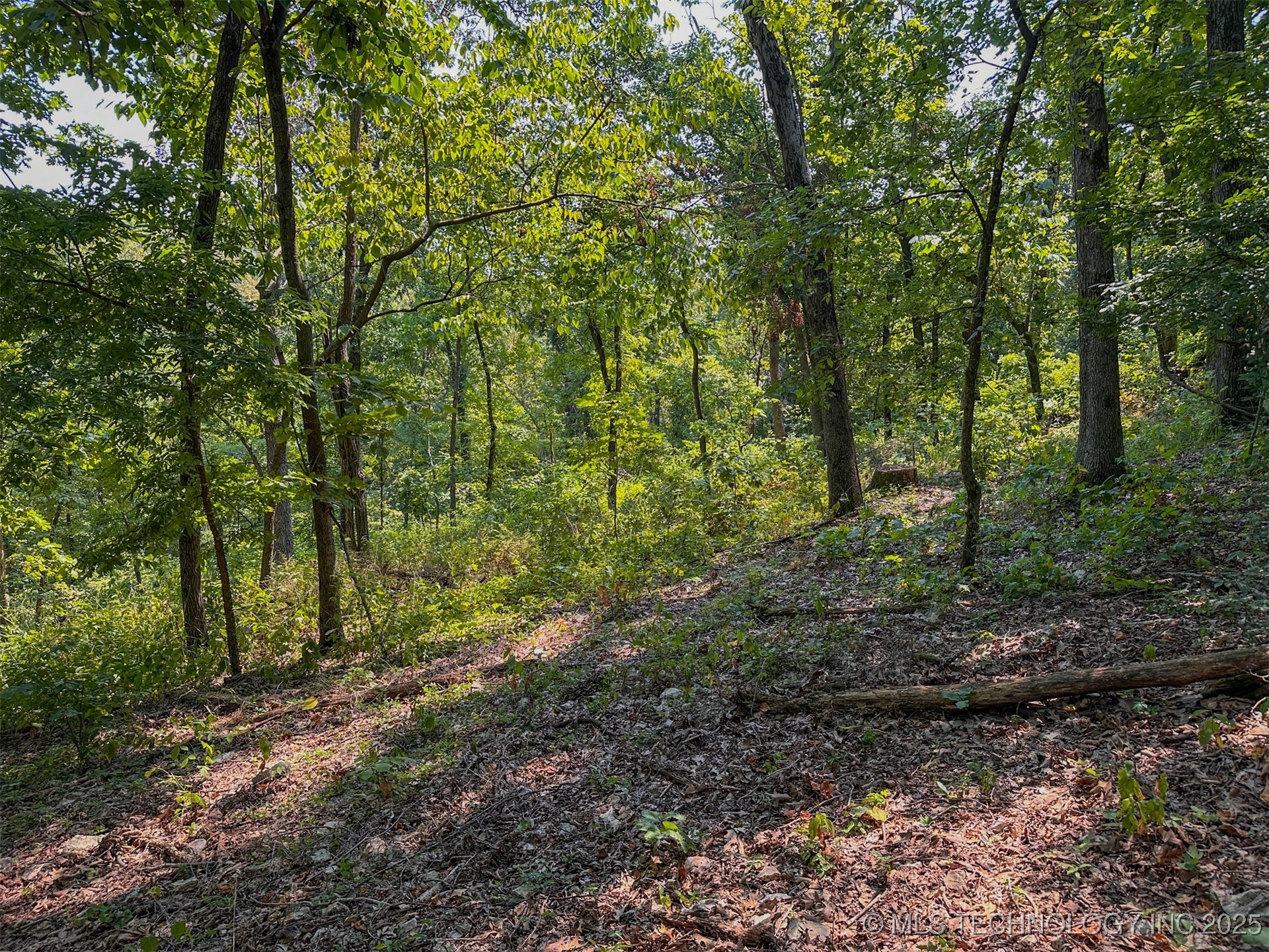 180 E Wyandotte Road Property Photo 30