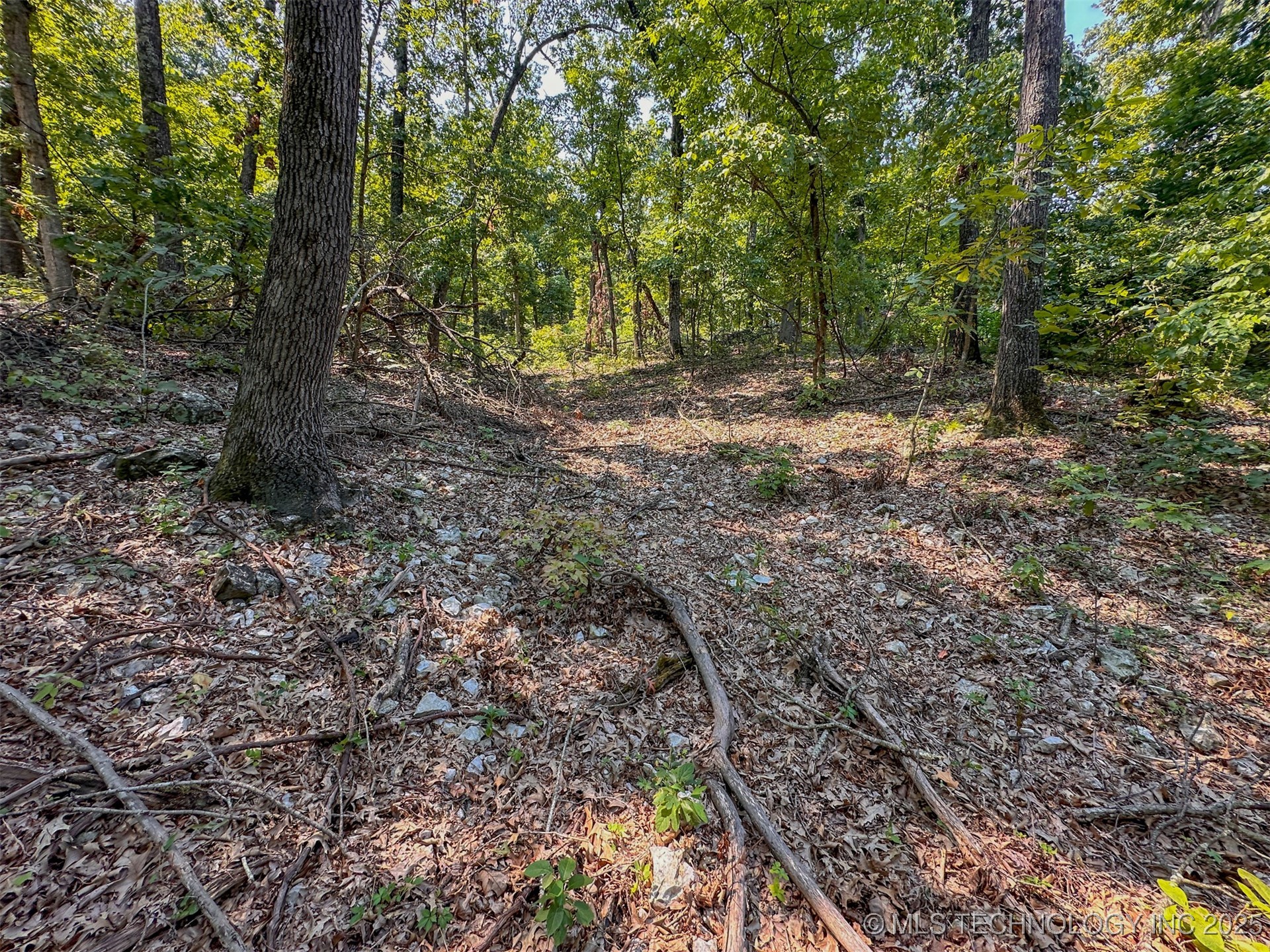 180 E Wyandotte Road Property Photo 31