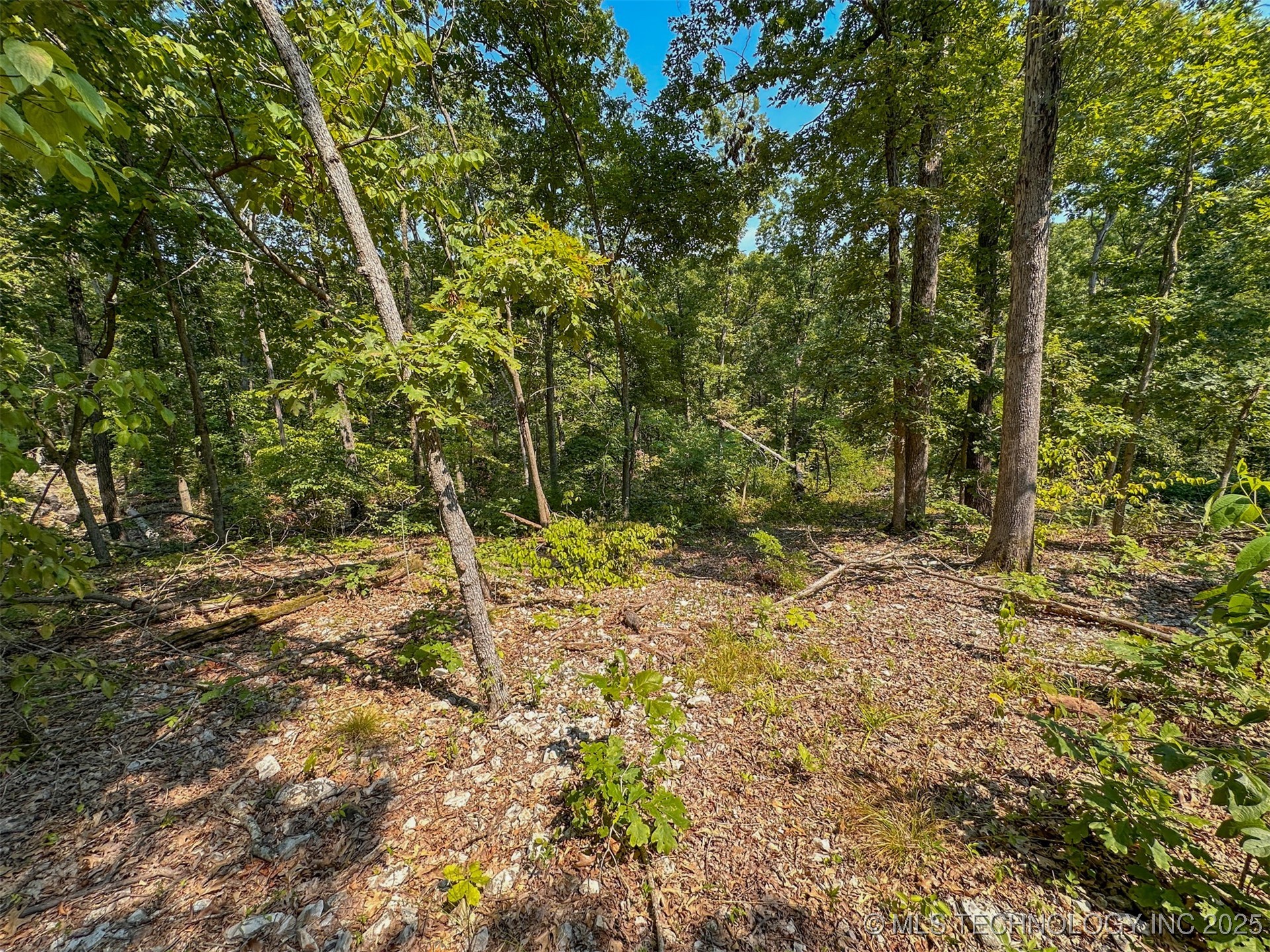 180 E Wyandotte Road Property Photo 32